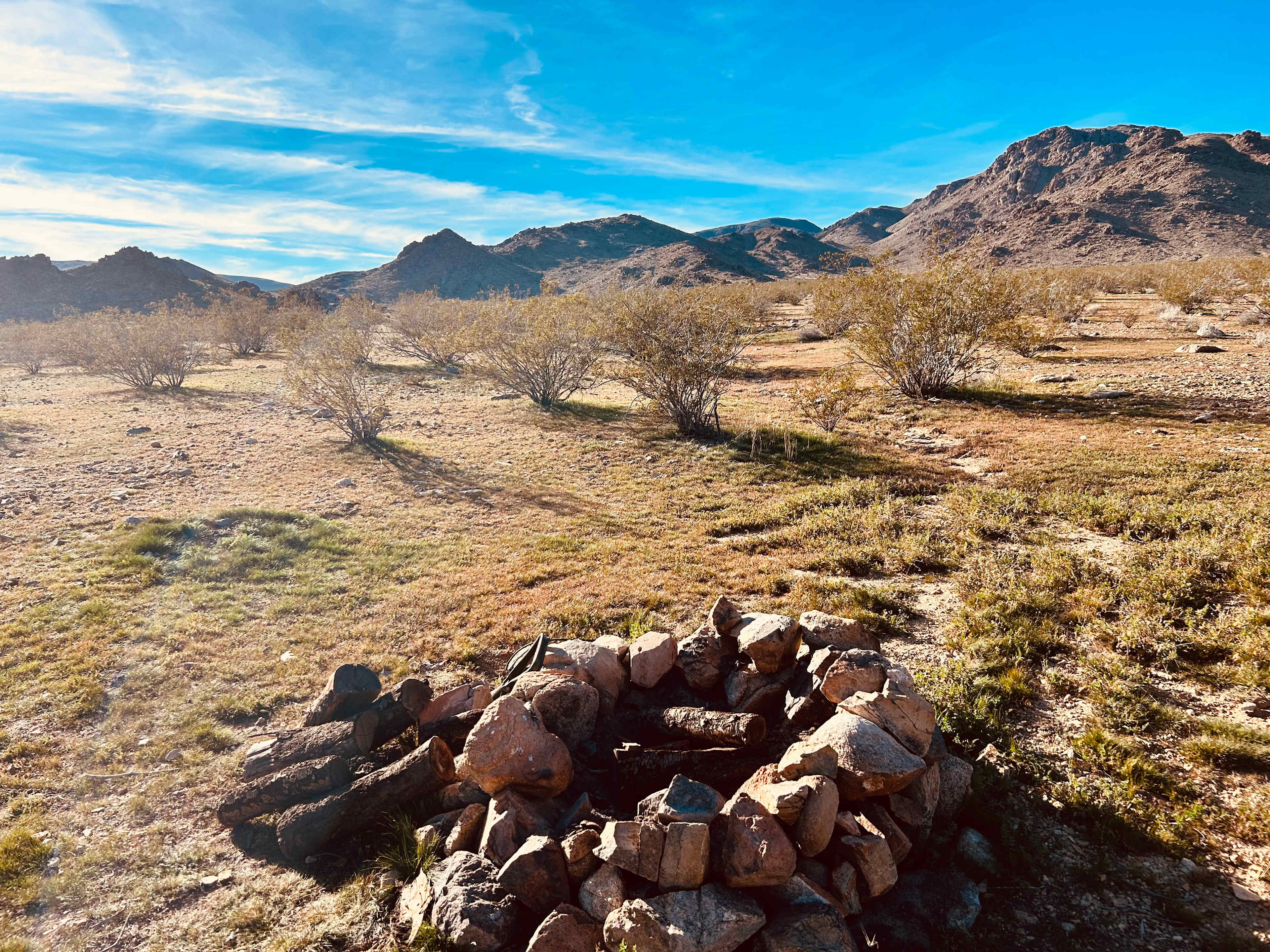 Mojave Moonlight Camping