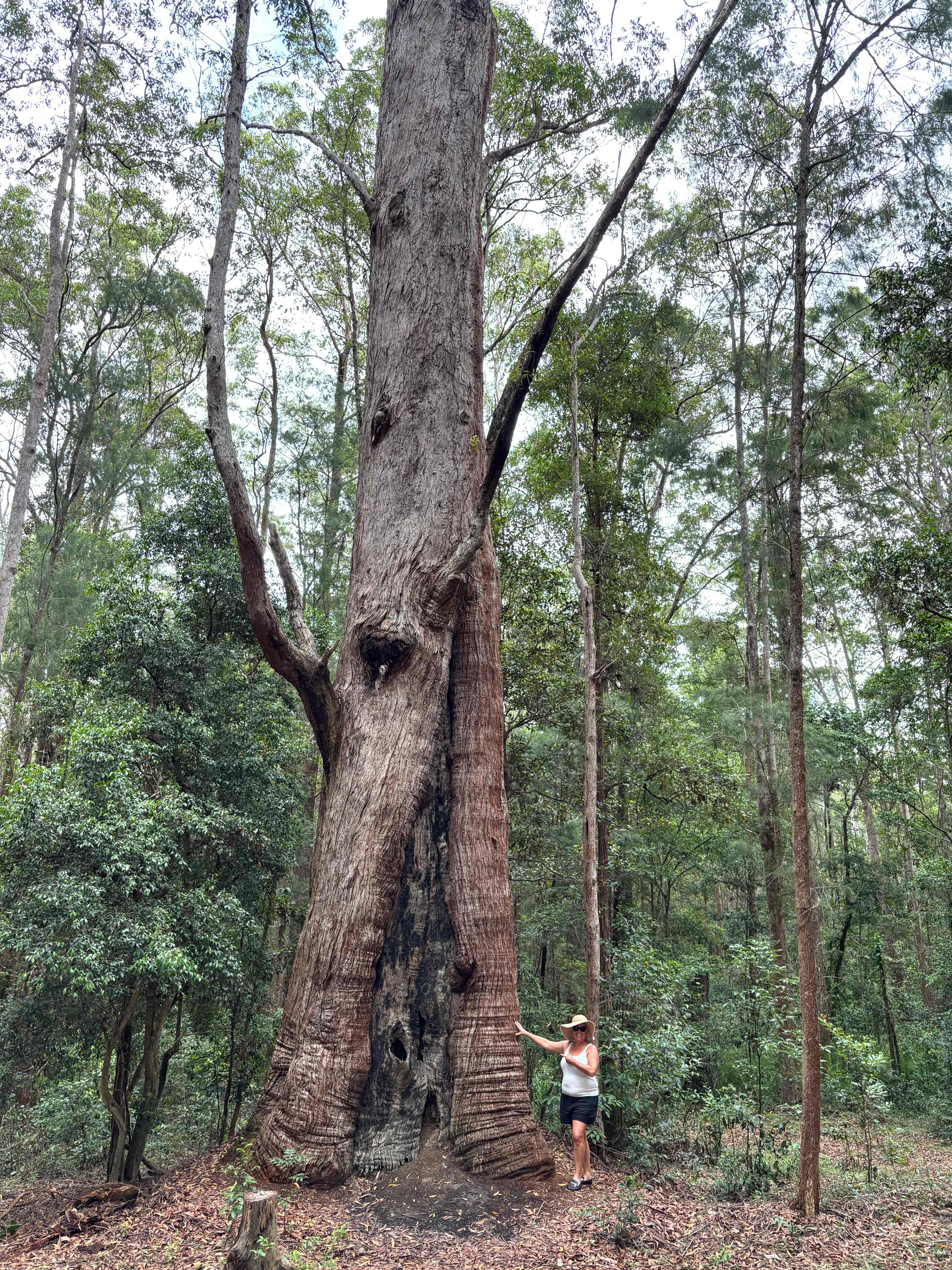 Bonville Camp Ground