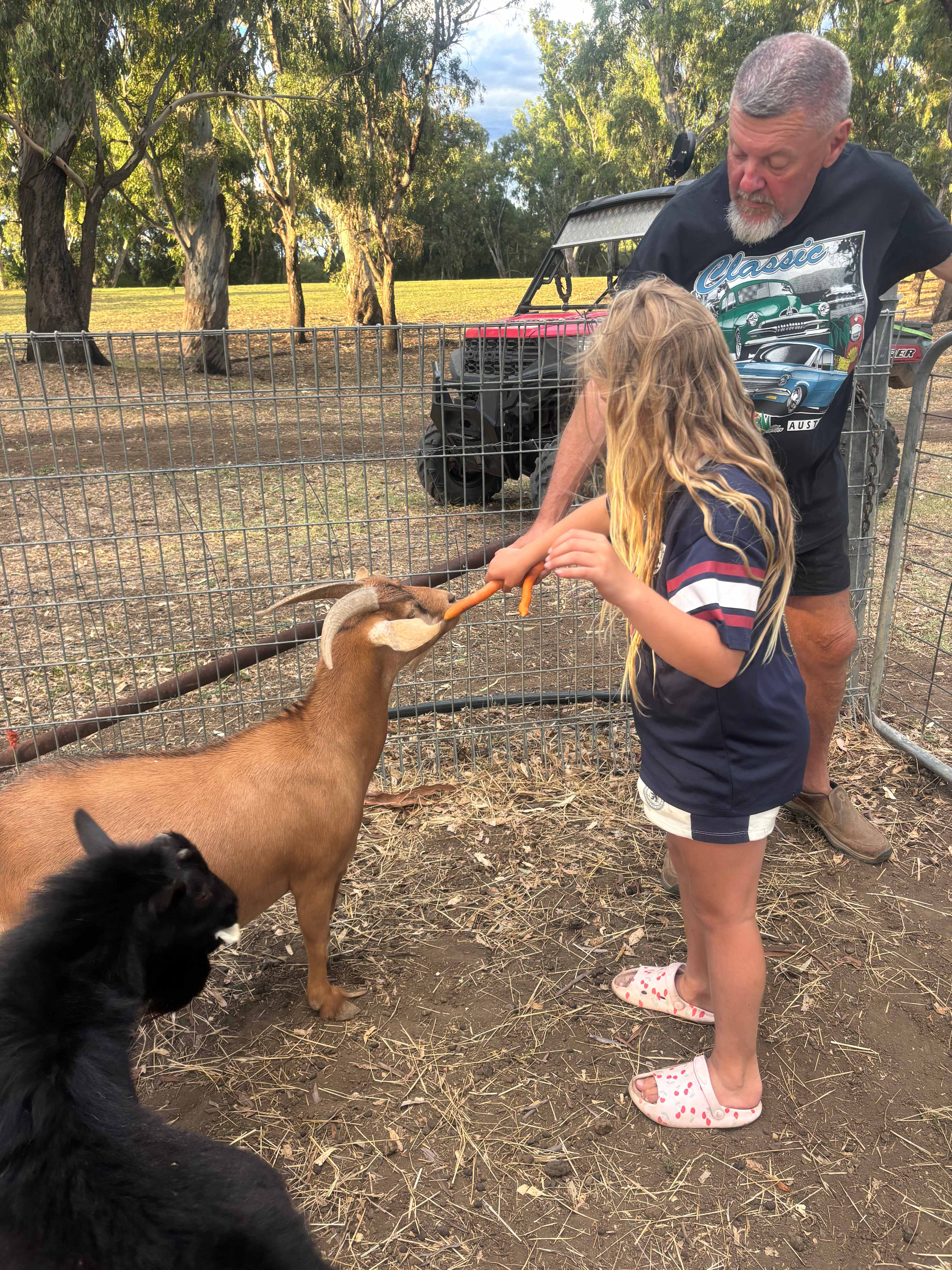 Pringy's Farm Balnagask