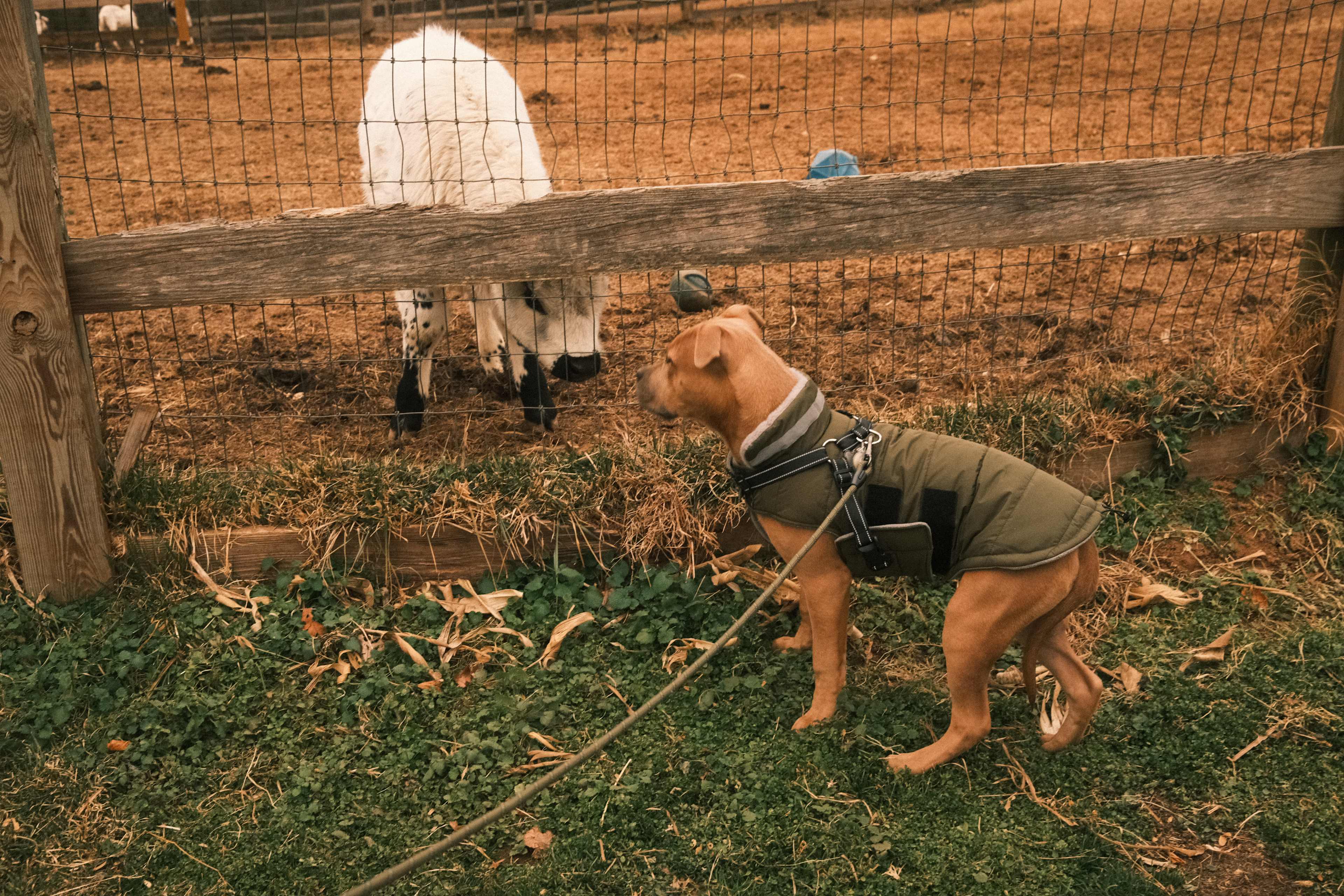 Camping at Wilderness Run