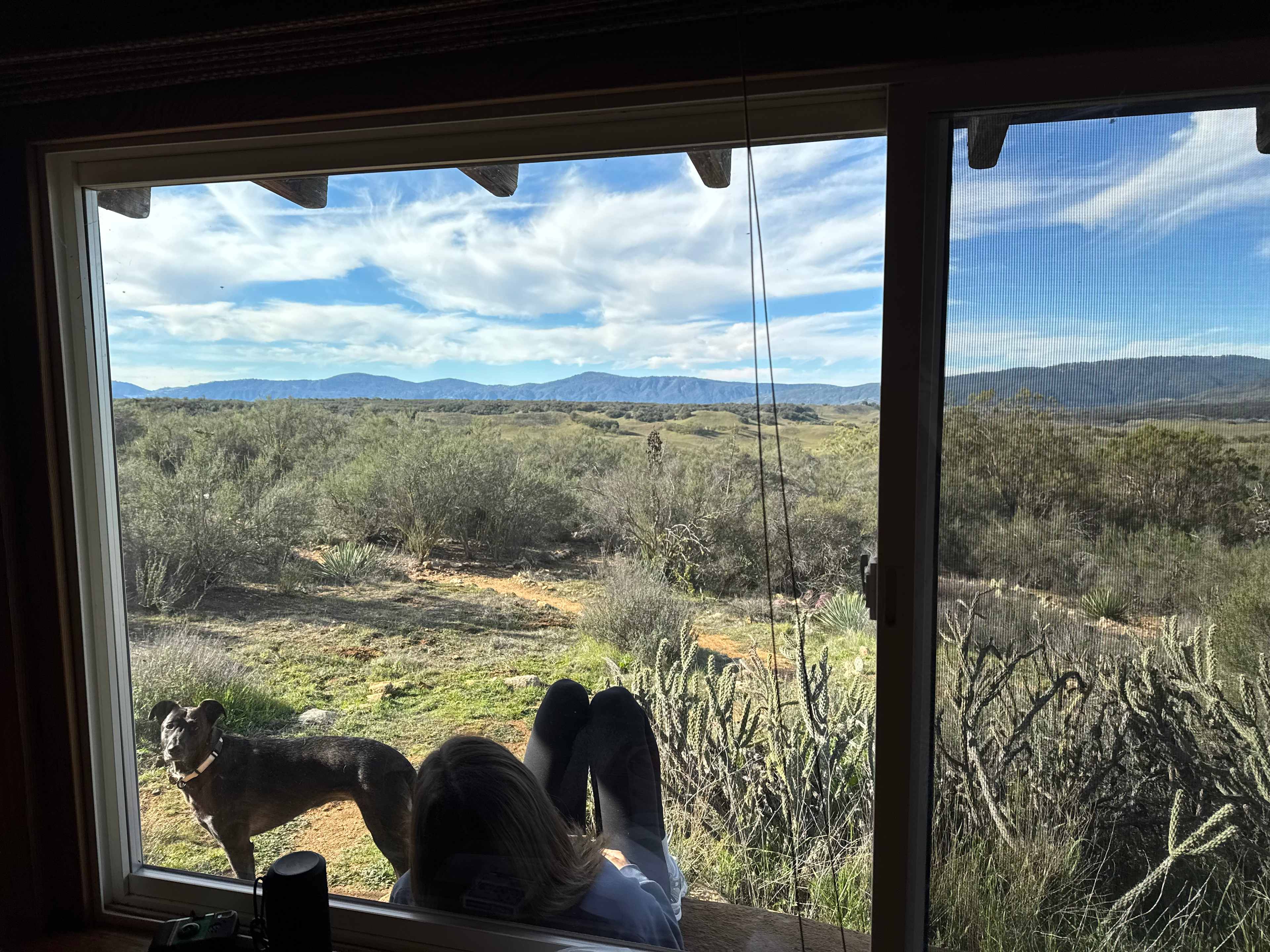 View out of the tiny cabin