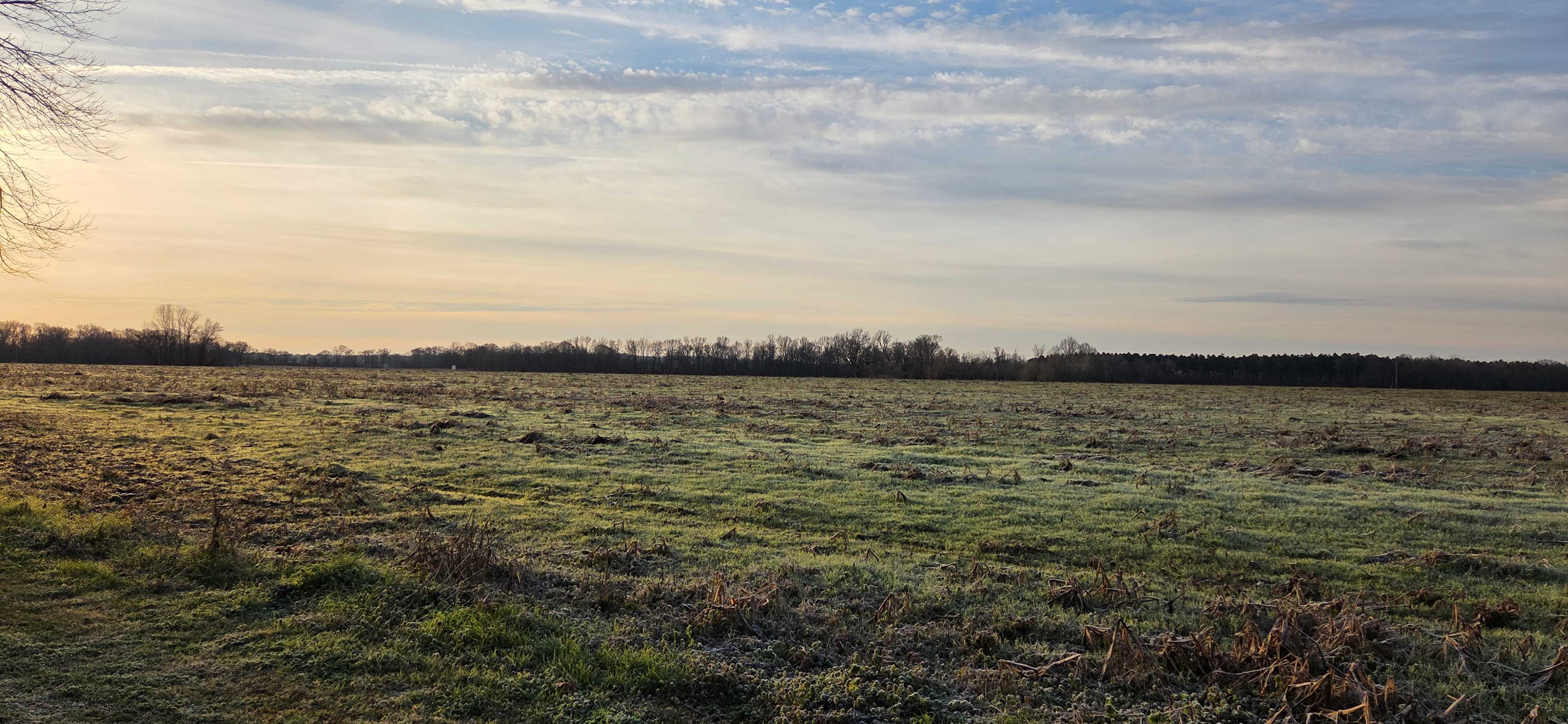 BLACK RIVER CAMPSITE MISSISSIPPI