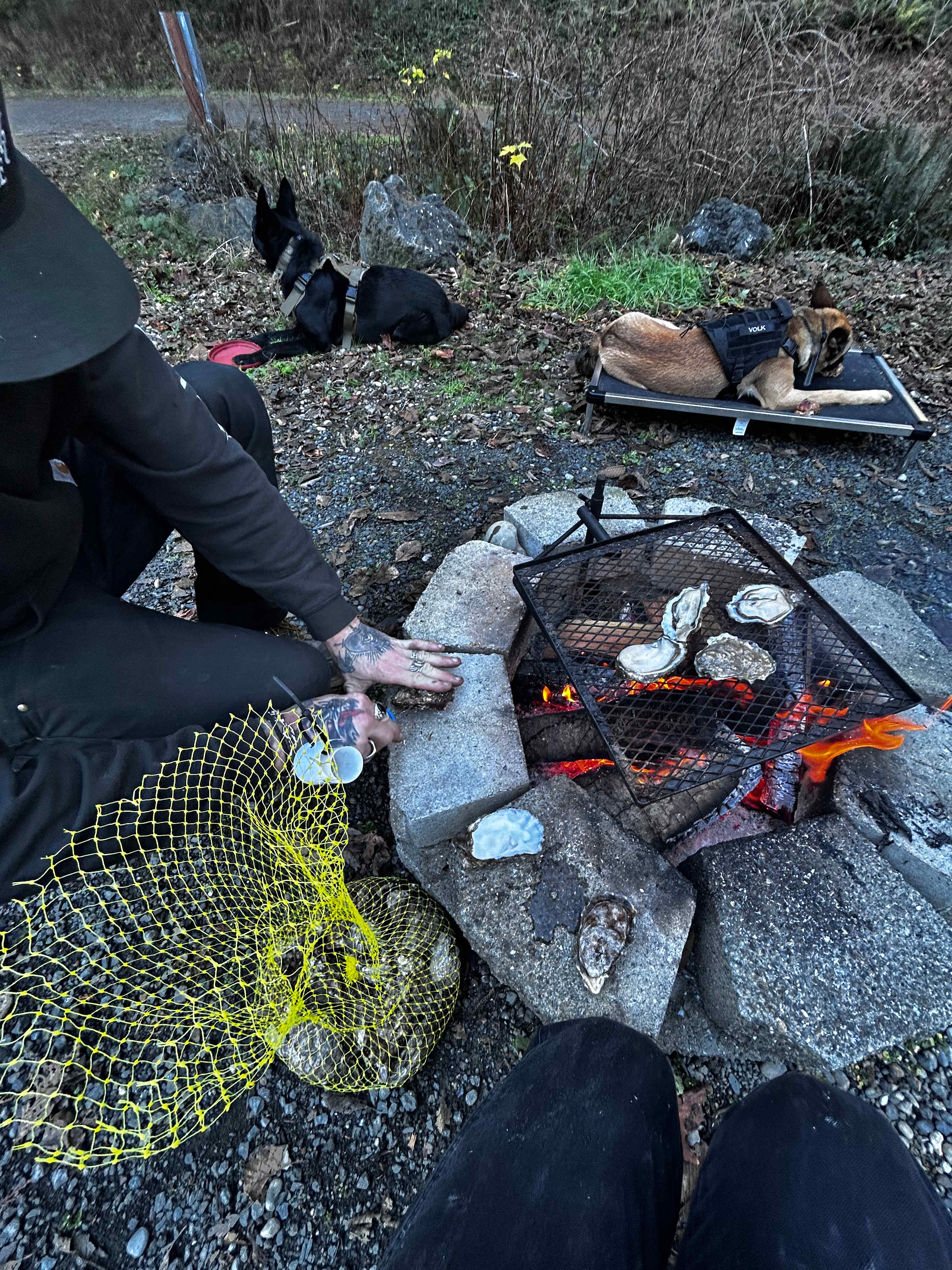 Hood Canal Oyster Farm | Lilliwaup