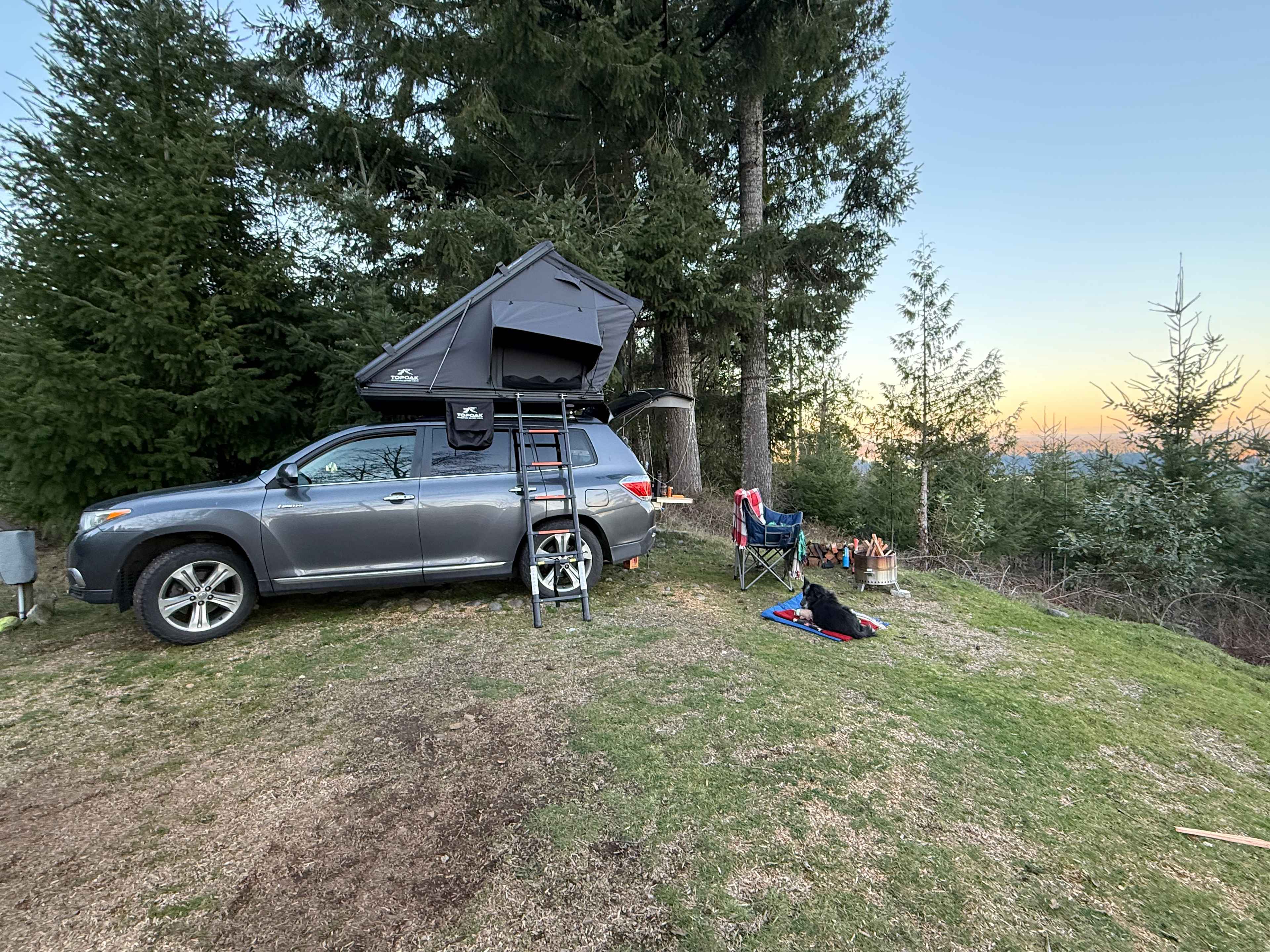 Hairy Eagle Lookout 🦅
