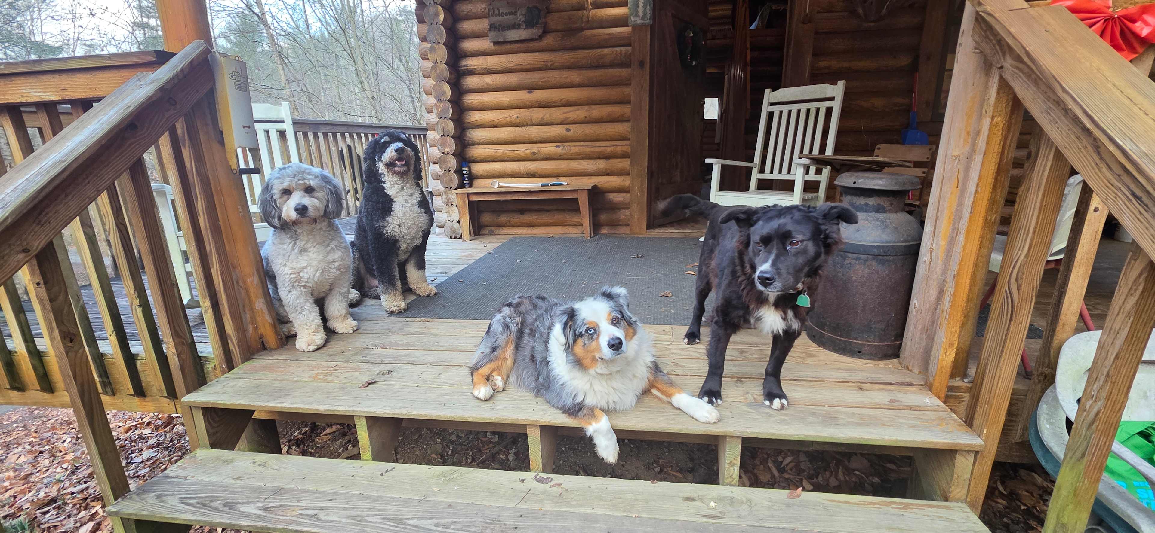 Twin Valley Horse Ranch