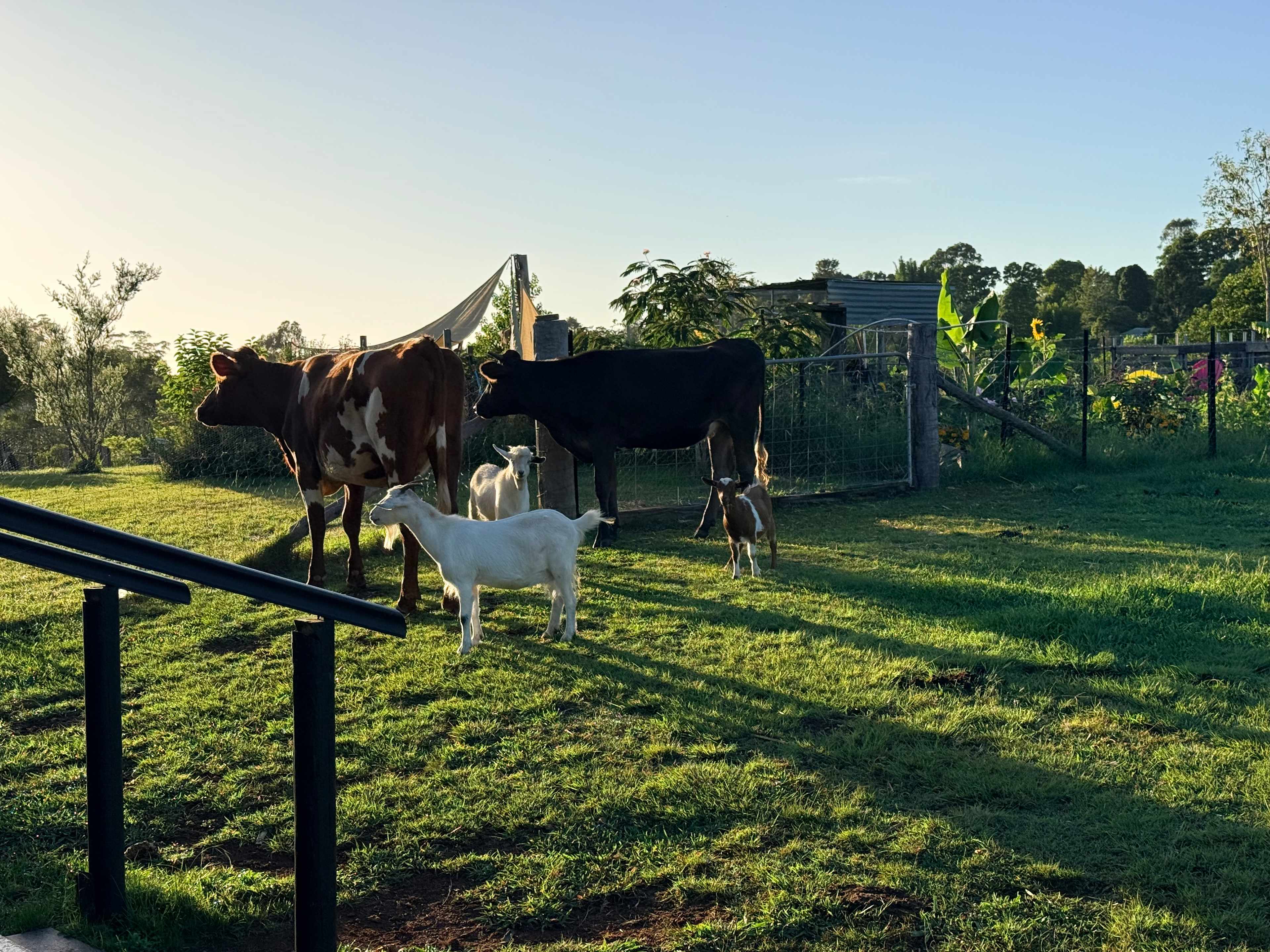 Maison de lavande Farmstay