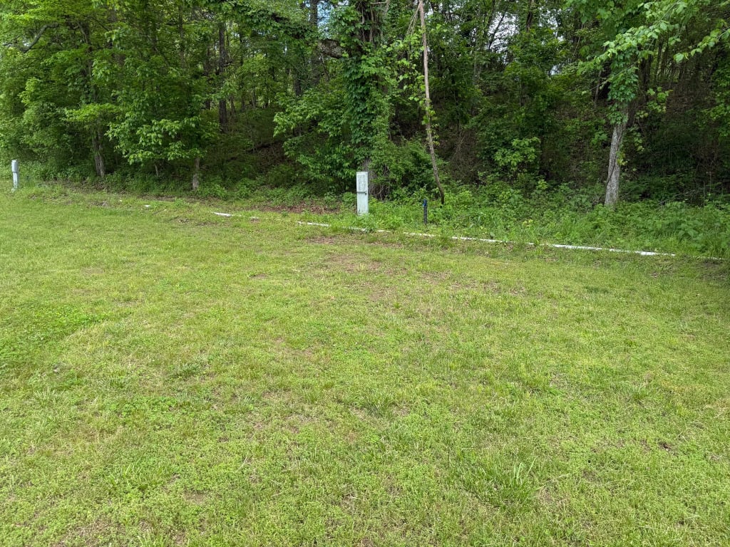 Wilson's Clear Creek Camp