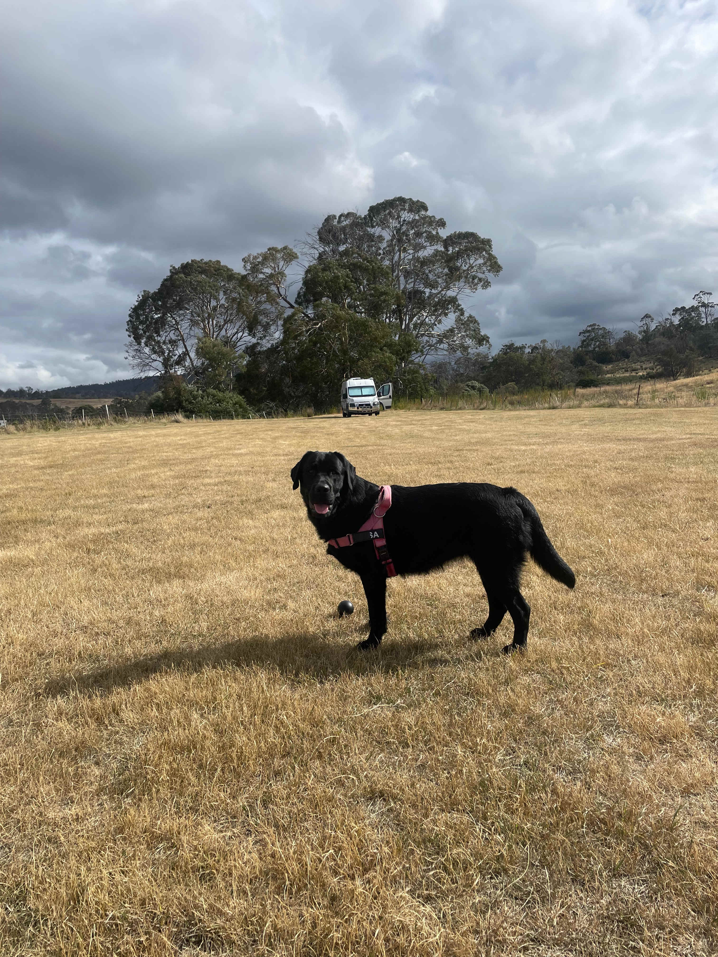 Kanyini Camp (self contained only)