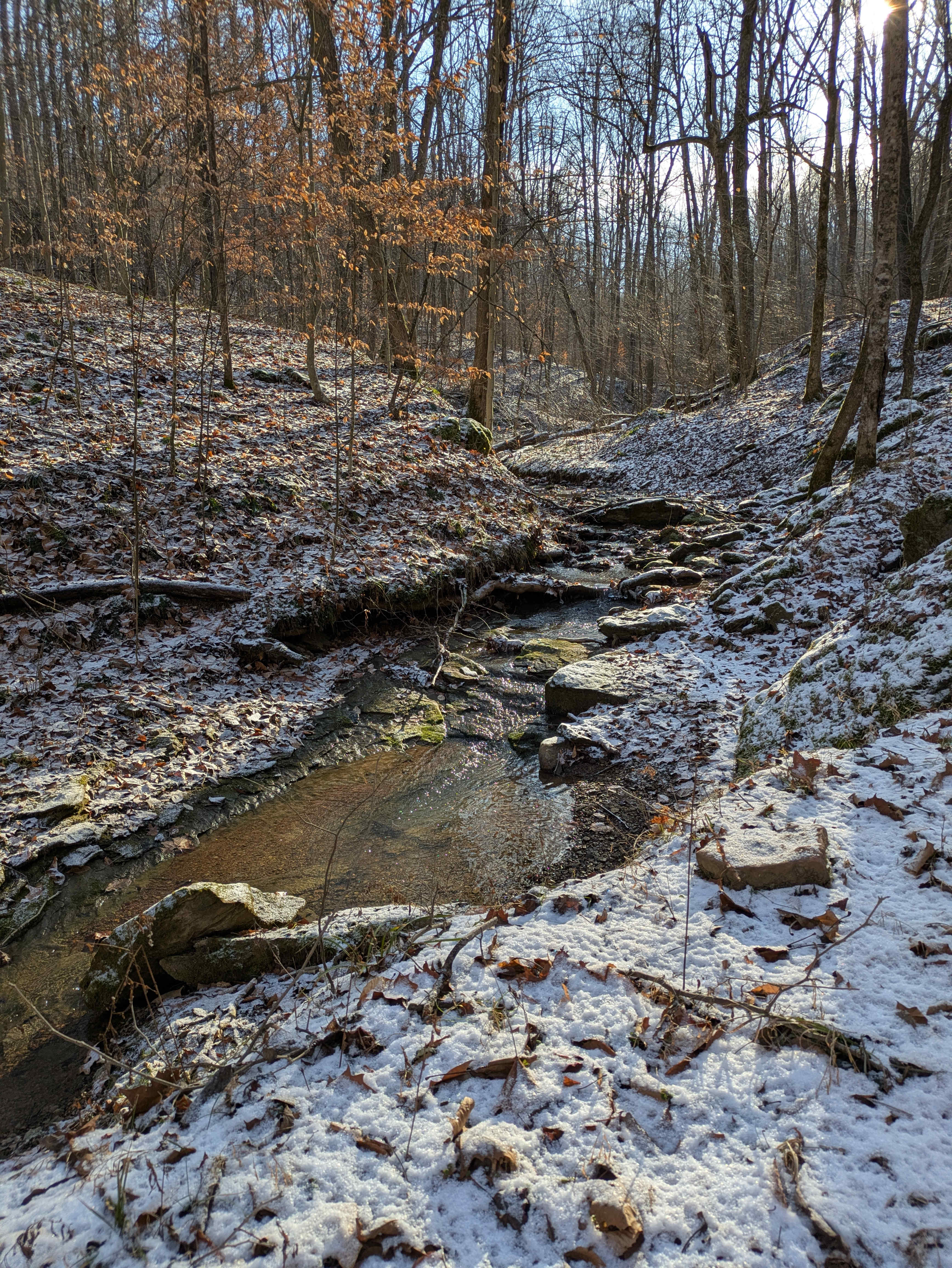 The creek that runs along one of the main trails from the cabin. 