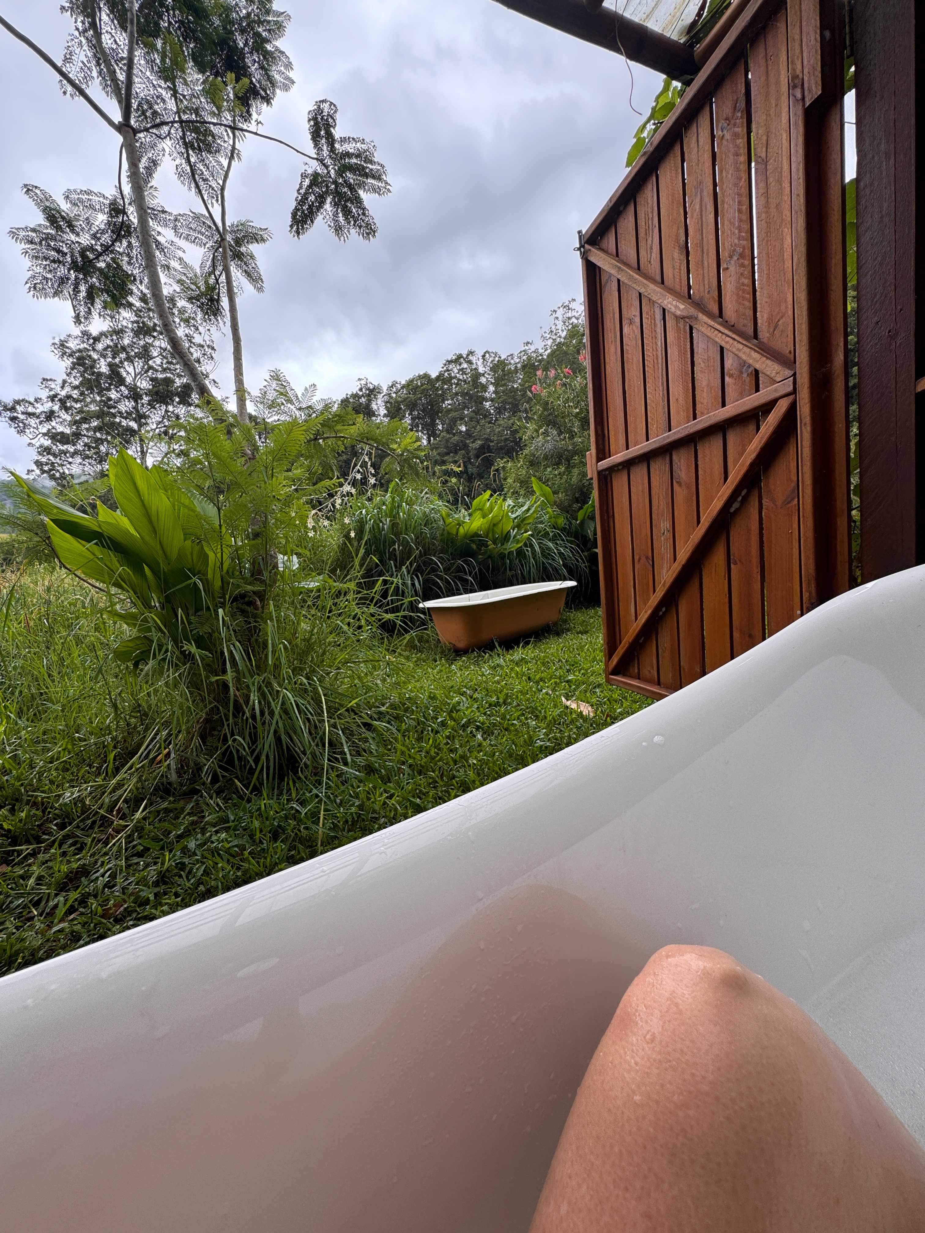 Crystal Creek Rainforest Treehouse