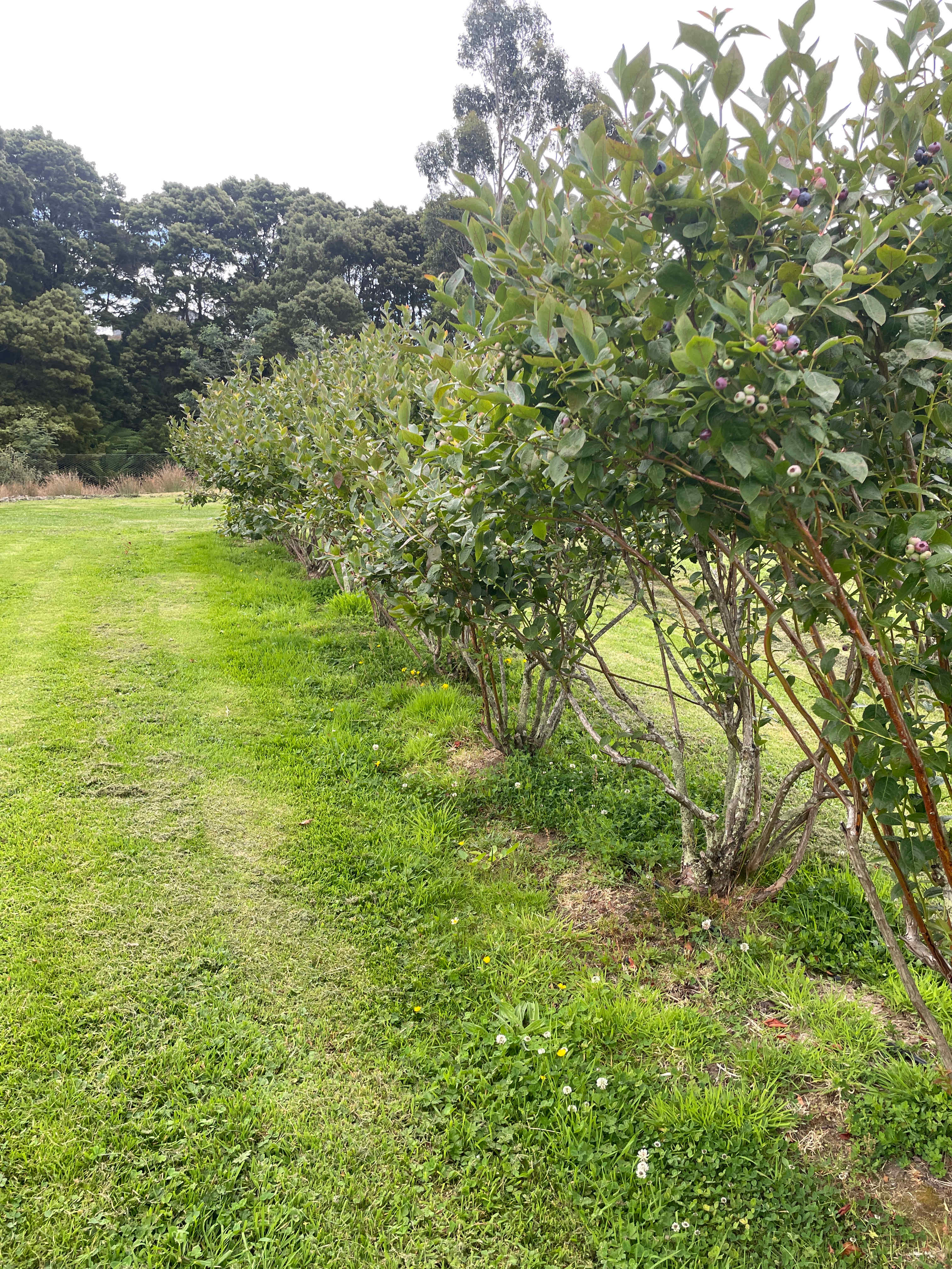Woodleigh - where beach meets bush