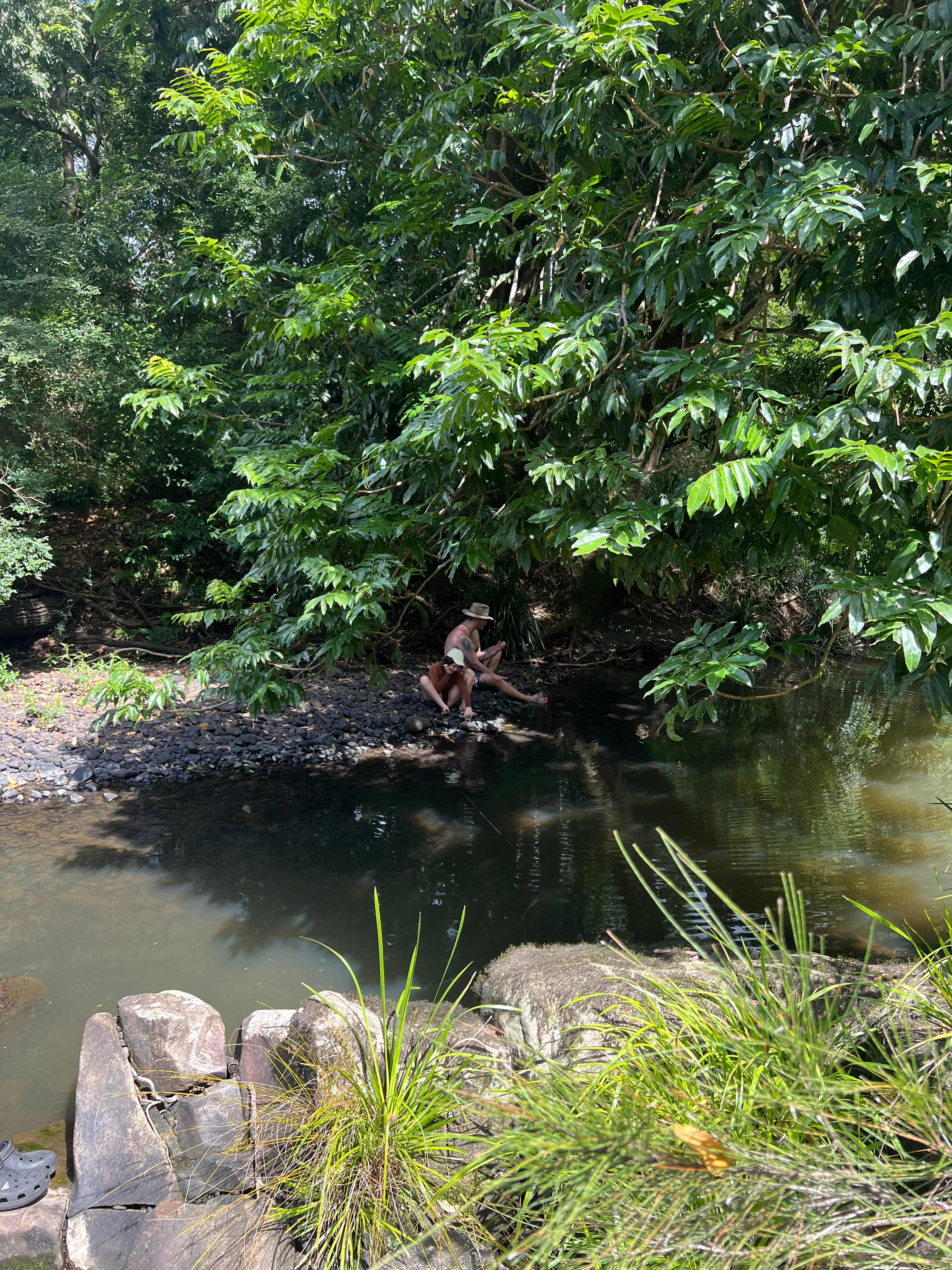 Magical creek a beautiful place for a swim 
