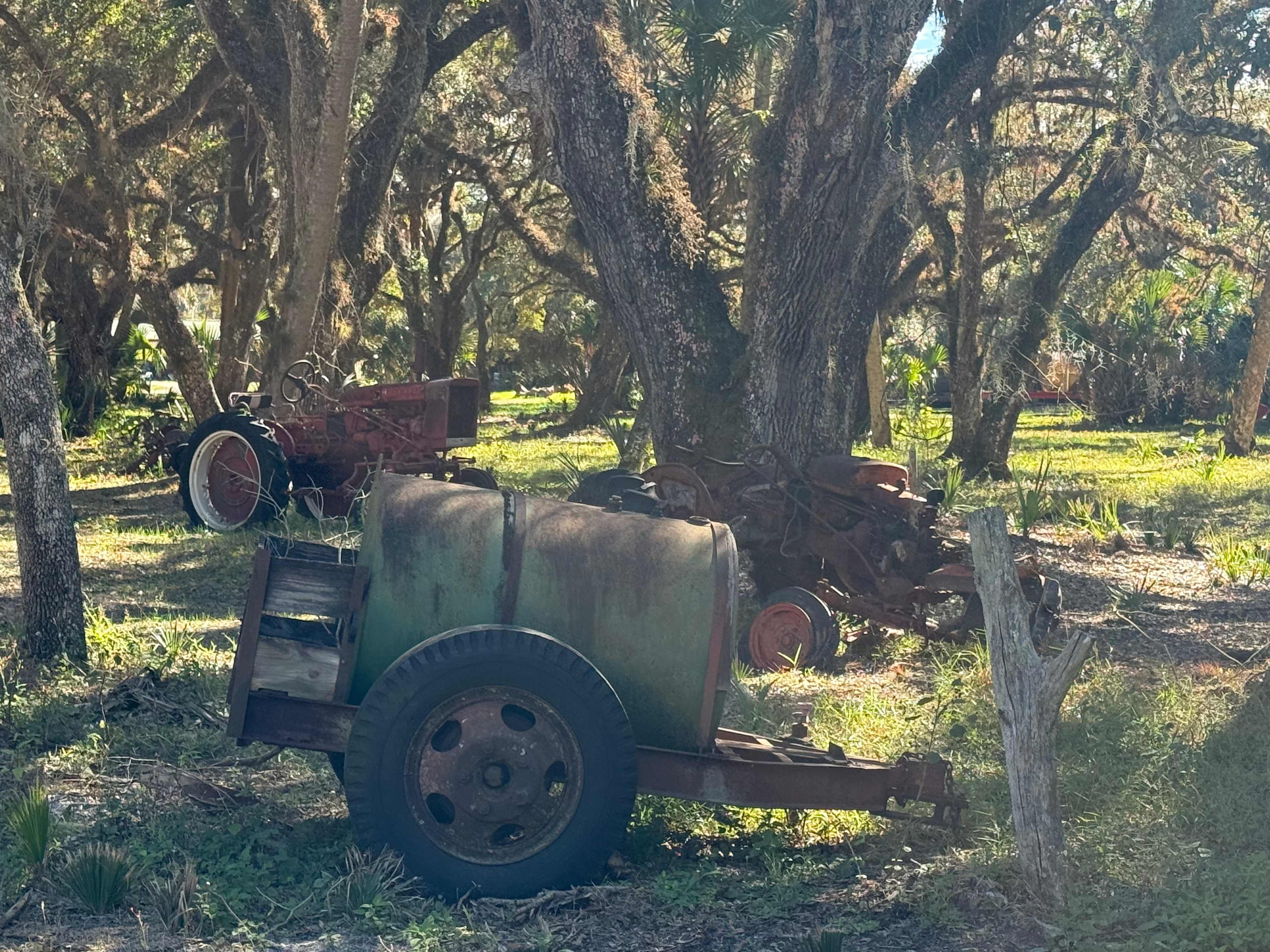 Horseshoe Creek camping site.