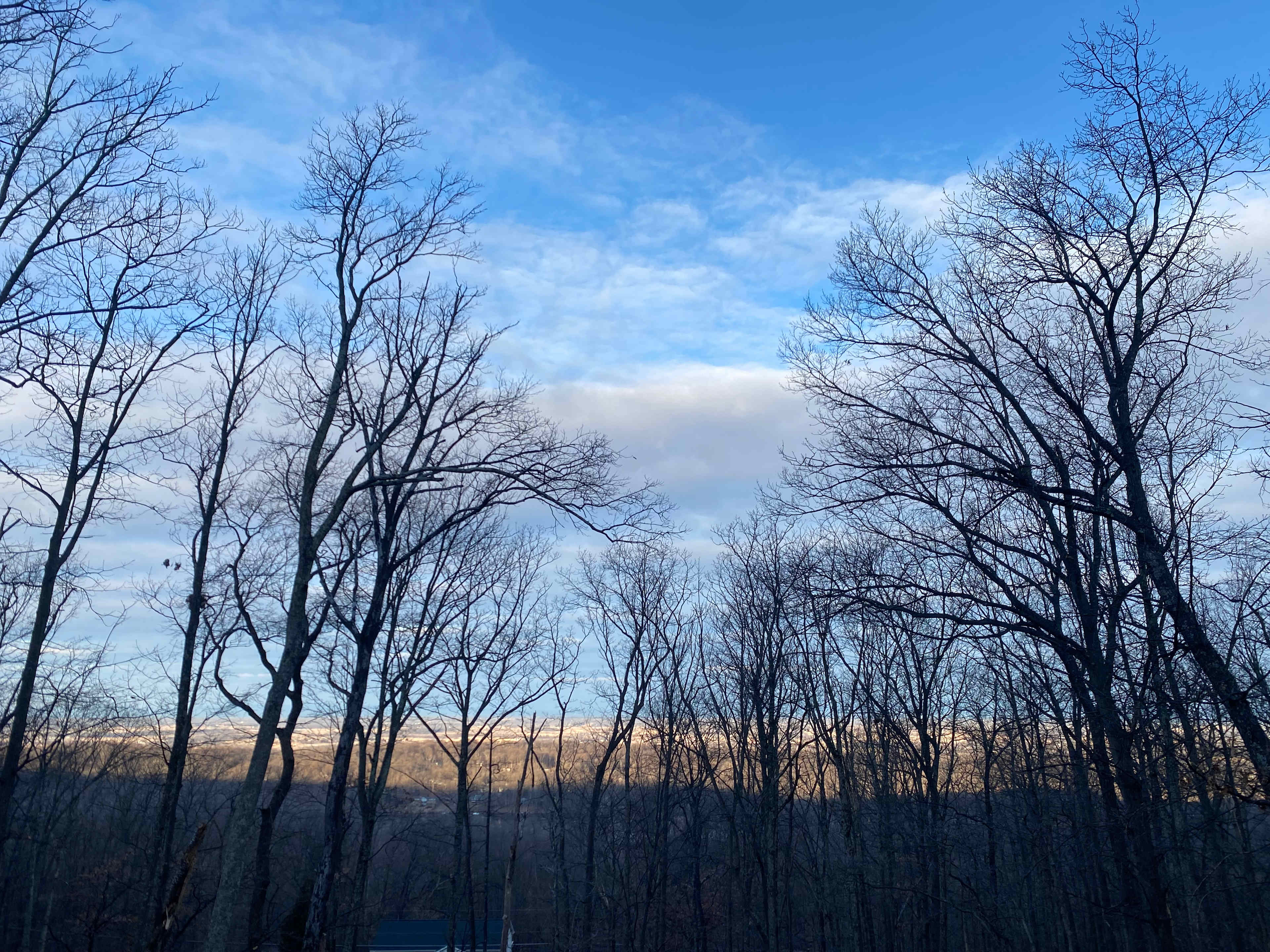 Morning view from the deck