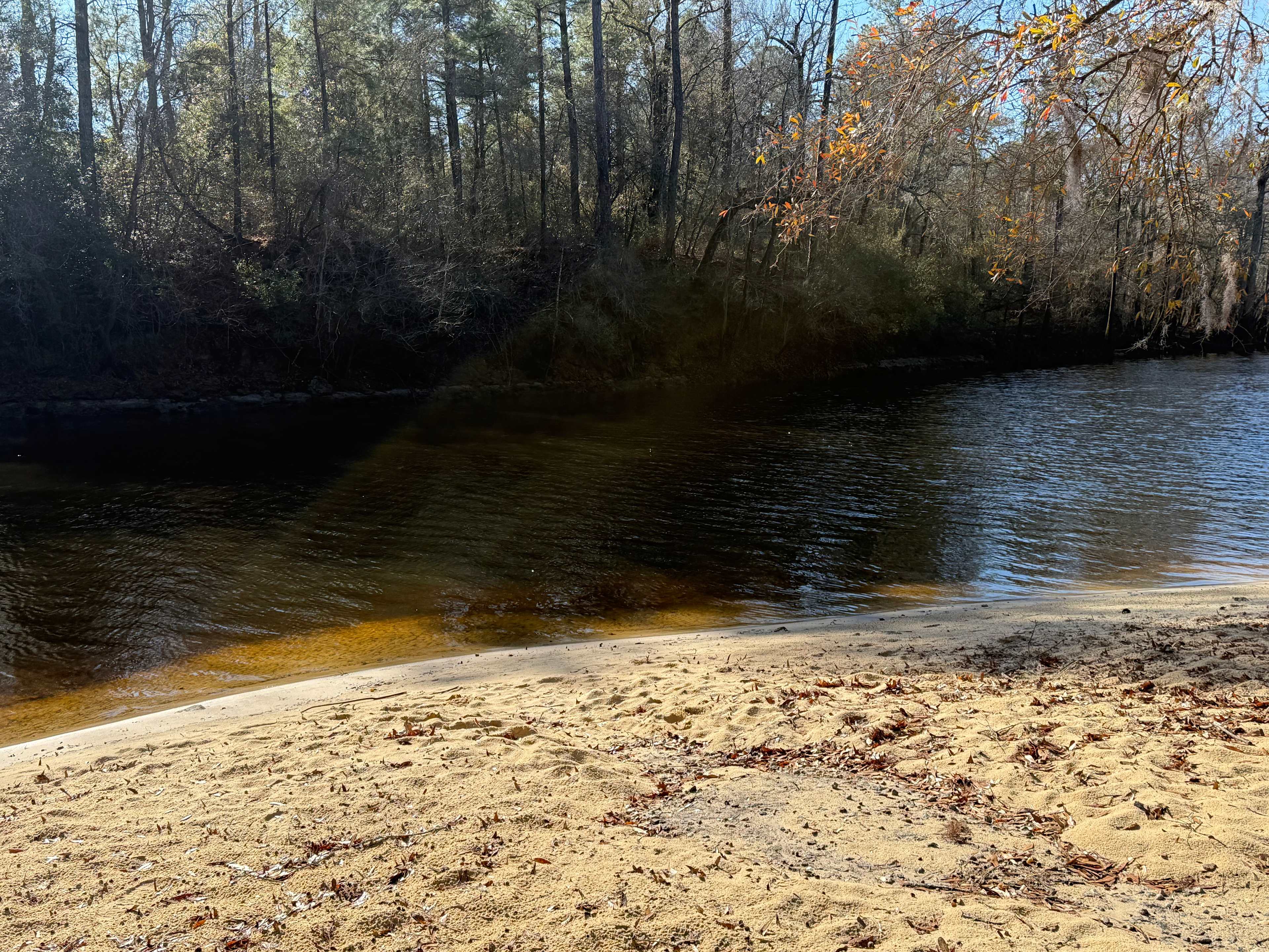 Black River Camping Ventures