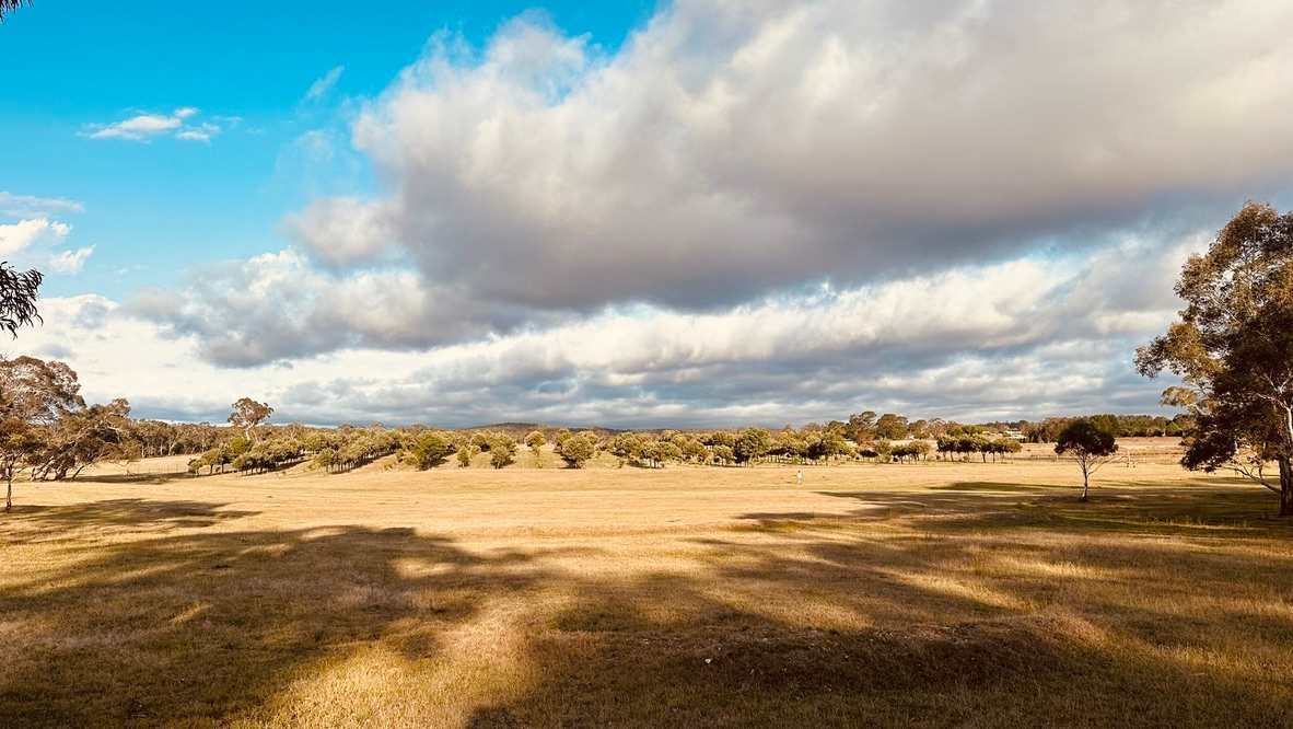 Truffle Farm Camping
