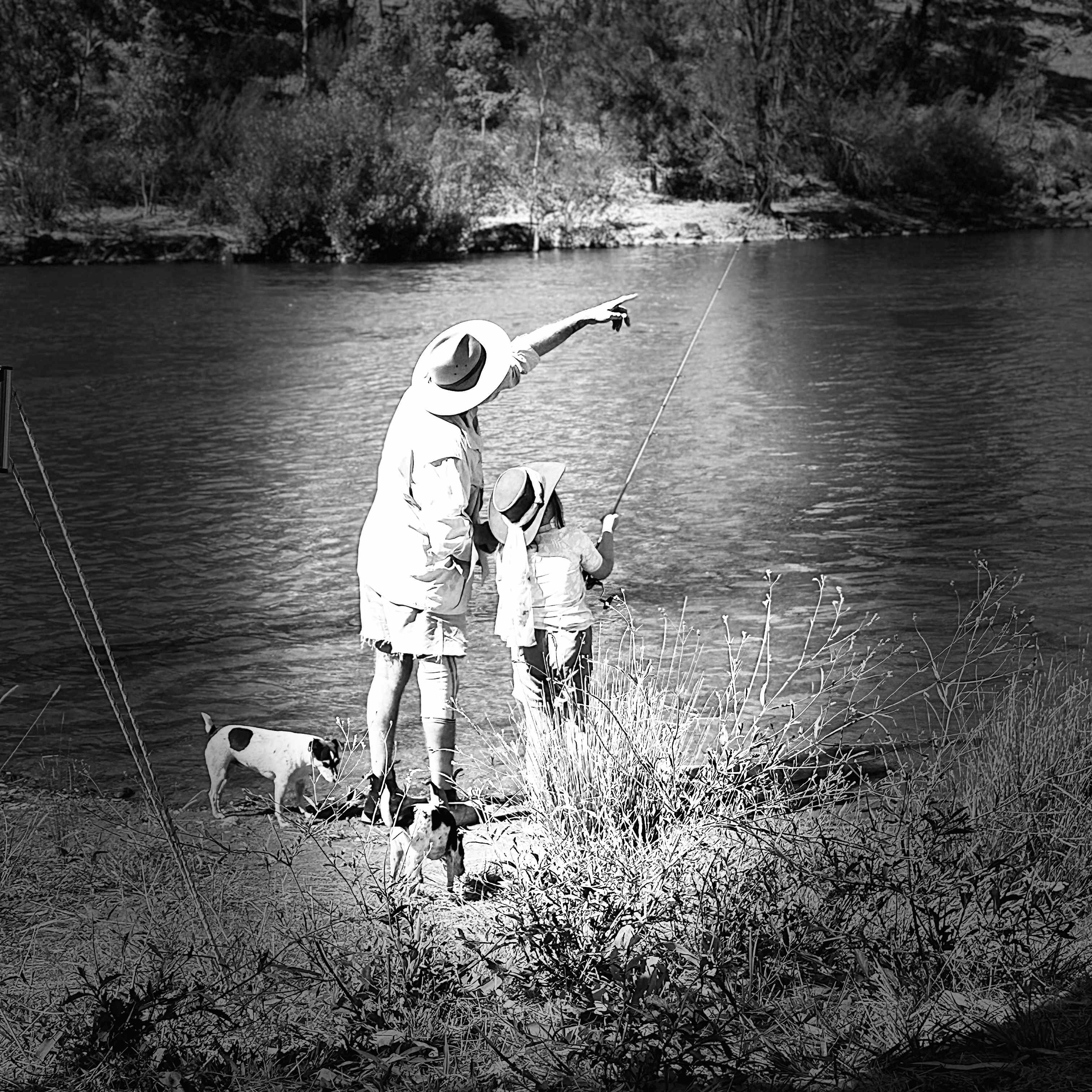 Jarabin on the Murrumbidgee