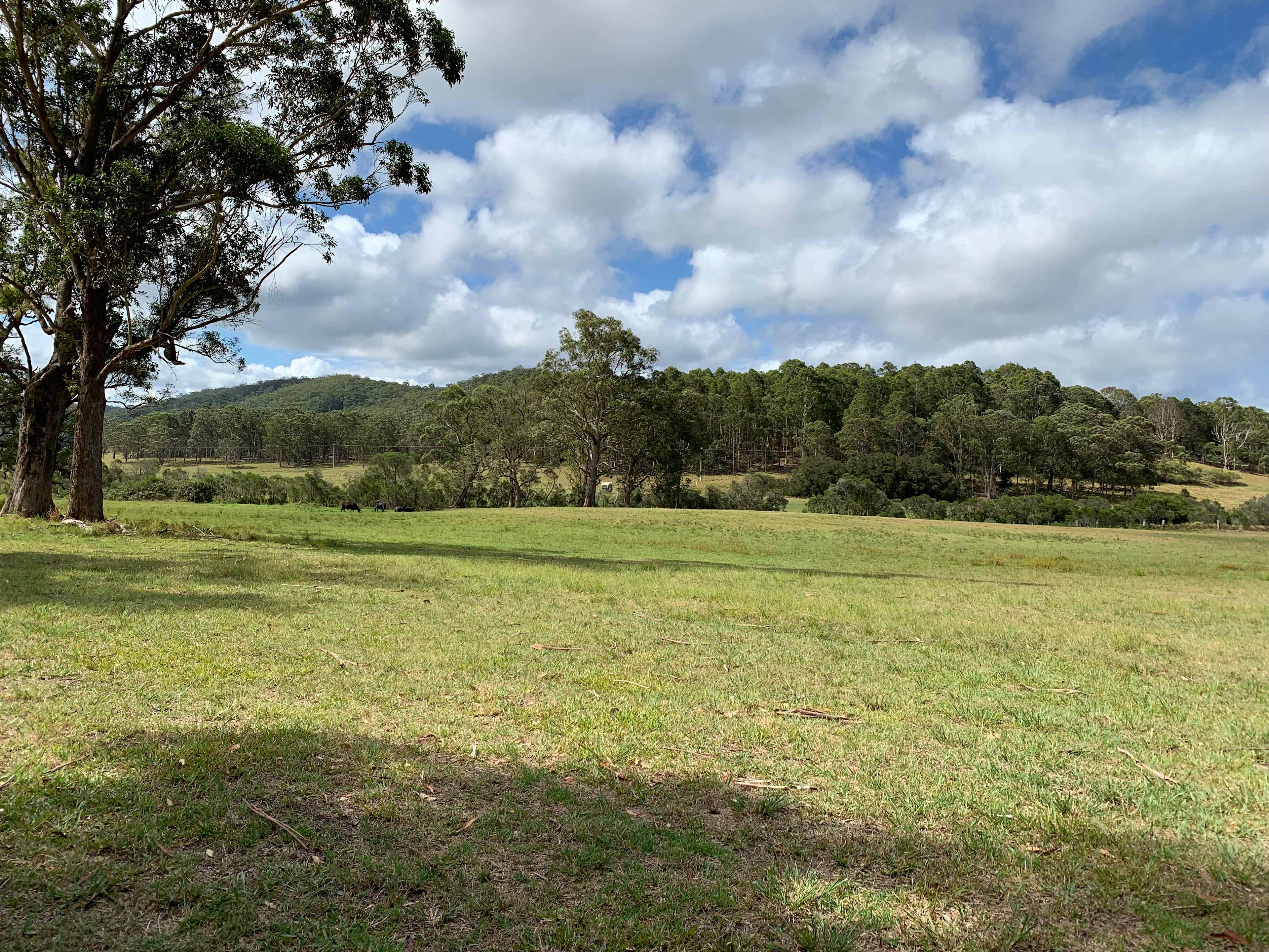 The Wandy Donkey Camp