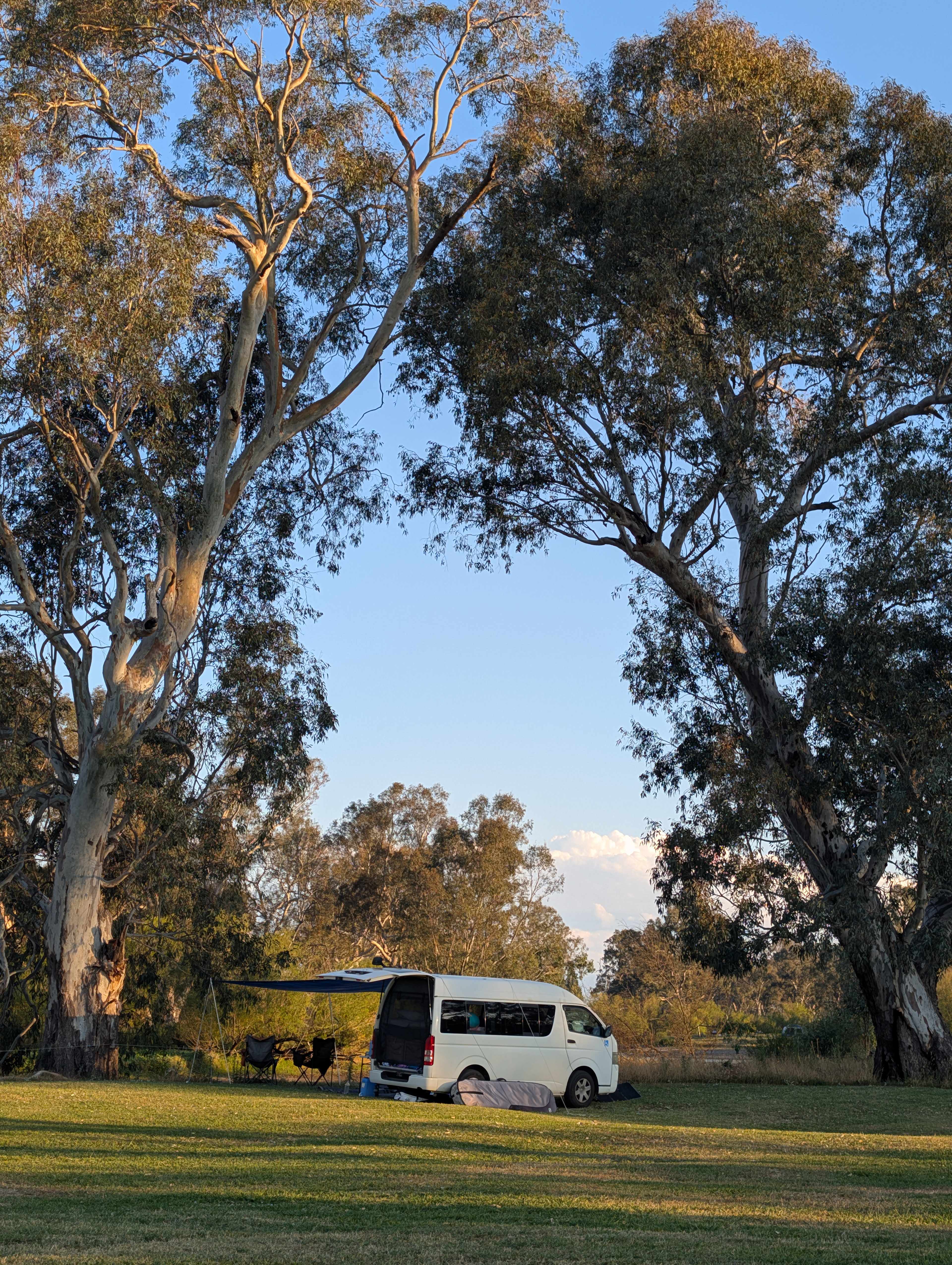 Serenity on the Murray