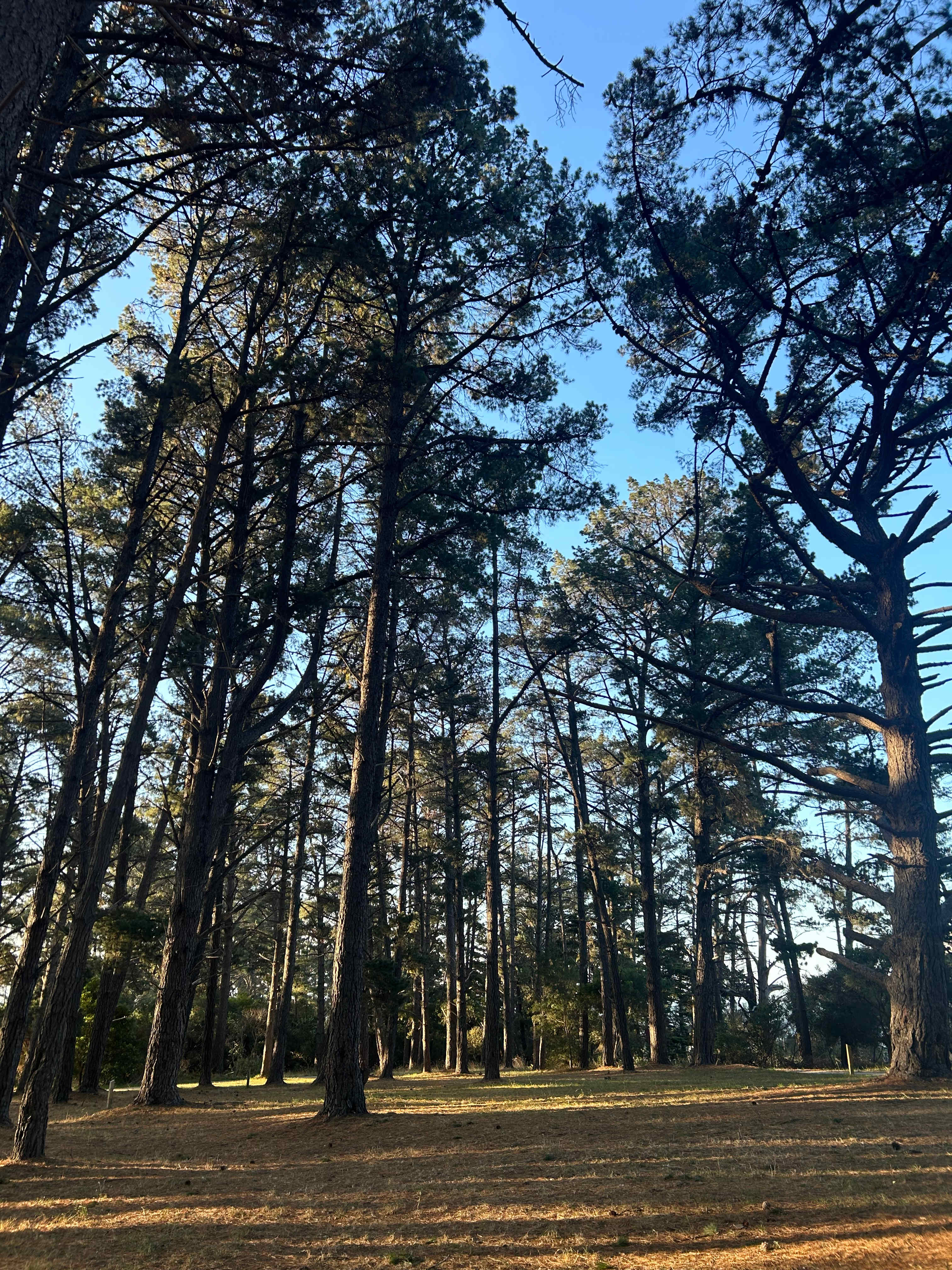 Bay Park Adventure Centre