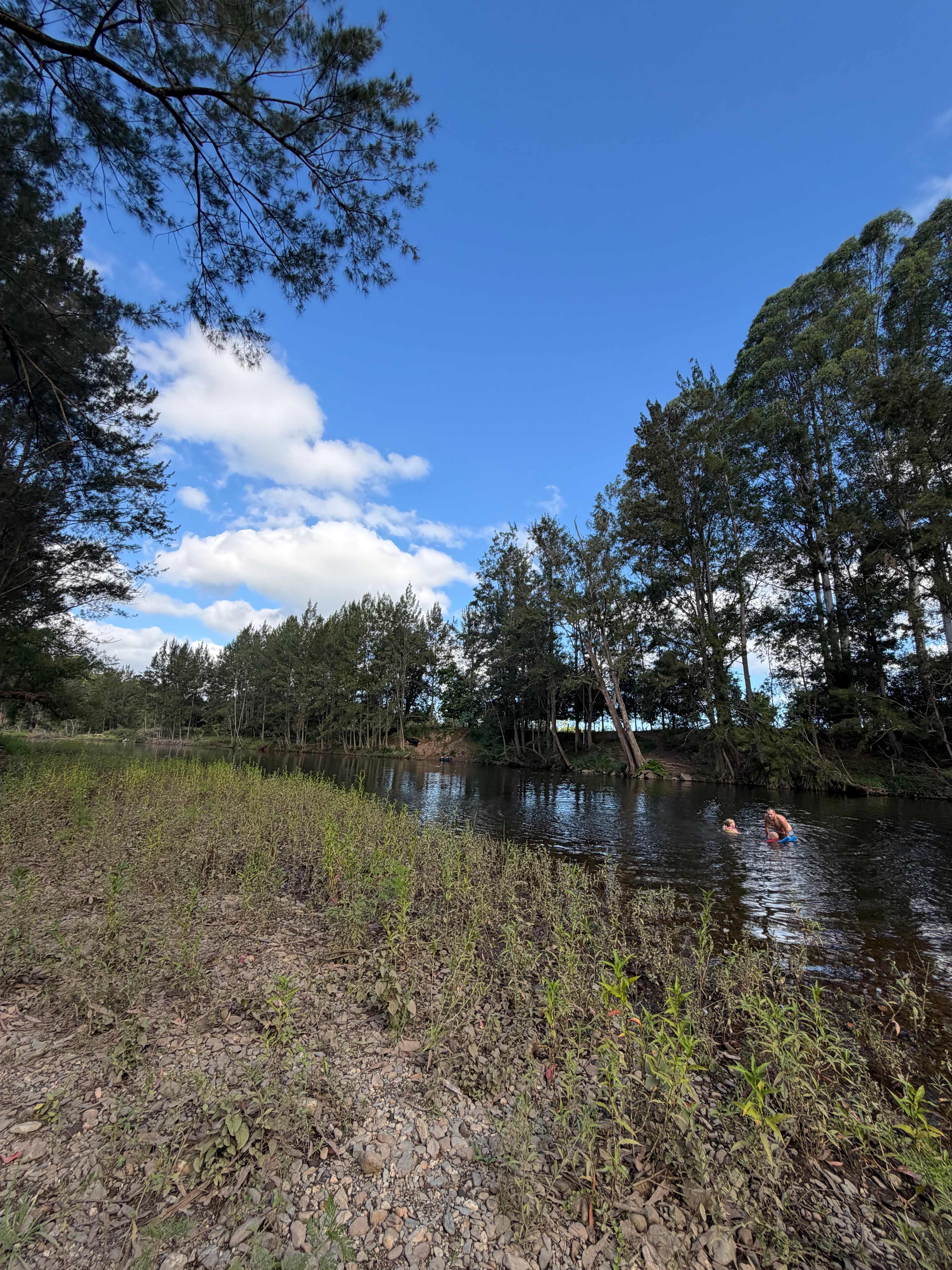 Bellinger River Camping