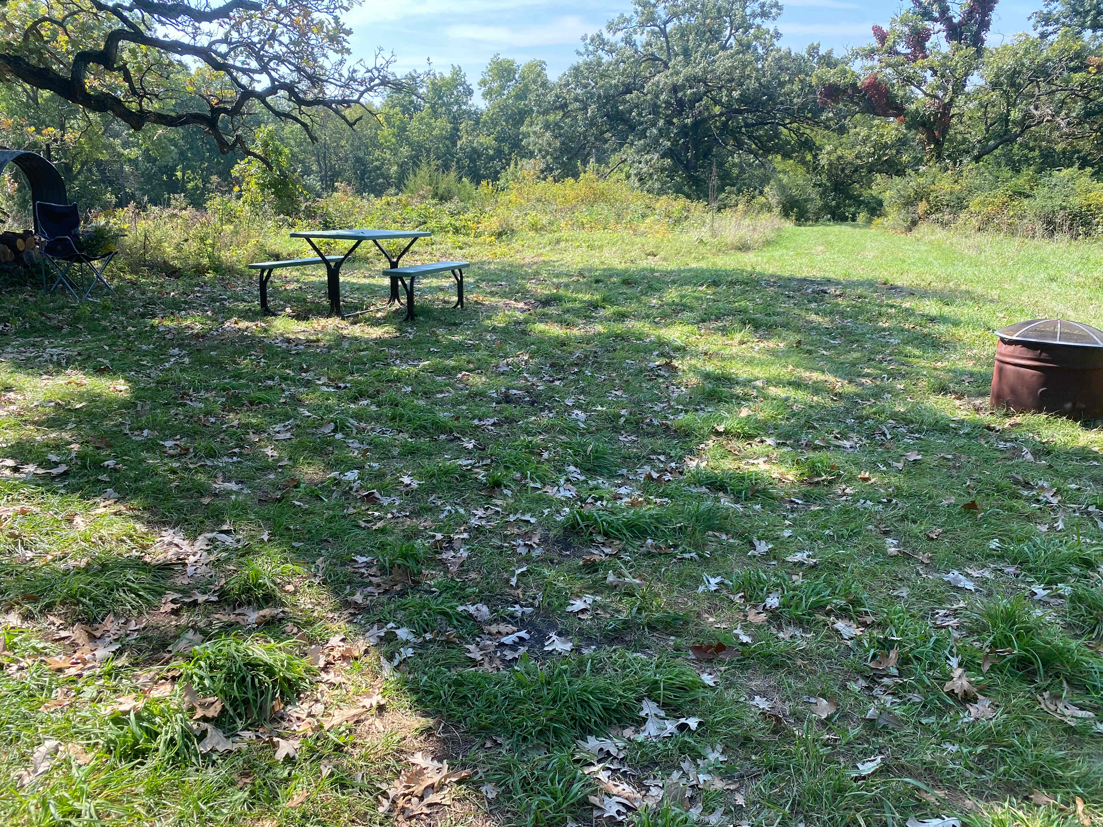 Picture of the site
