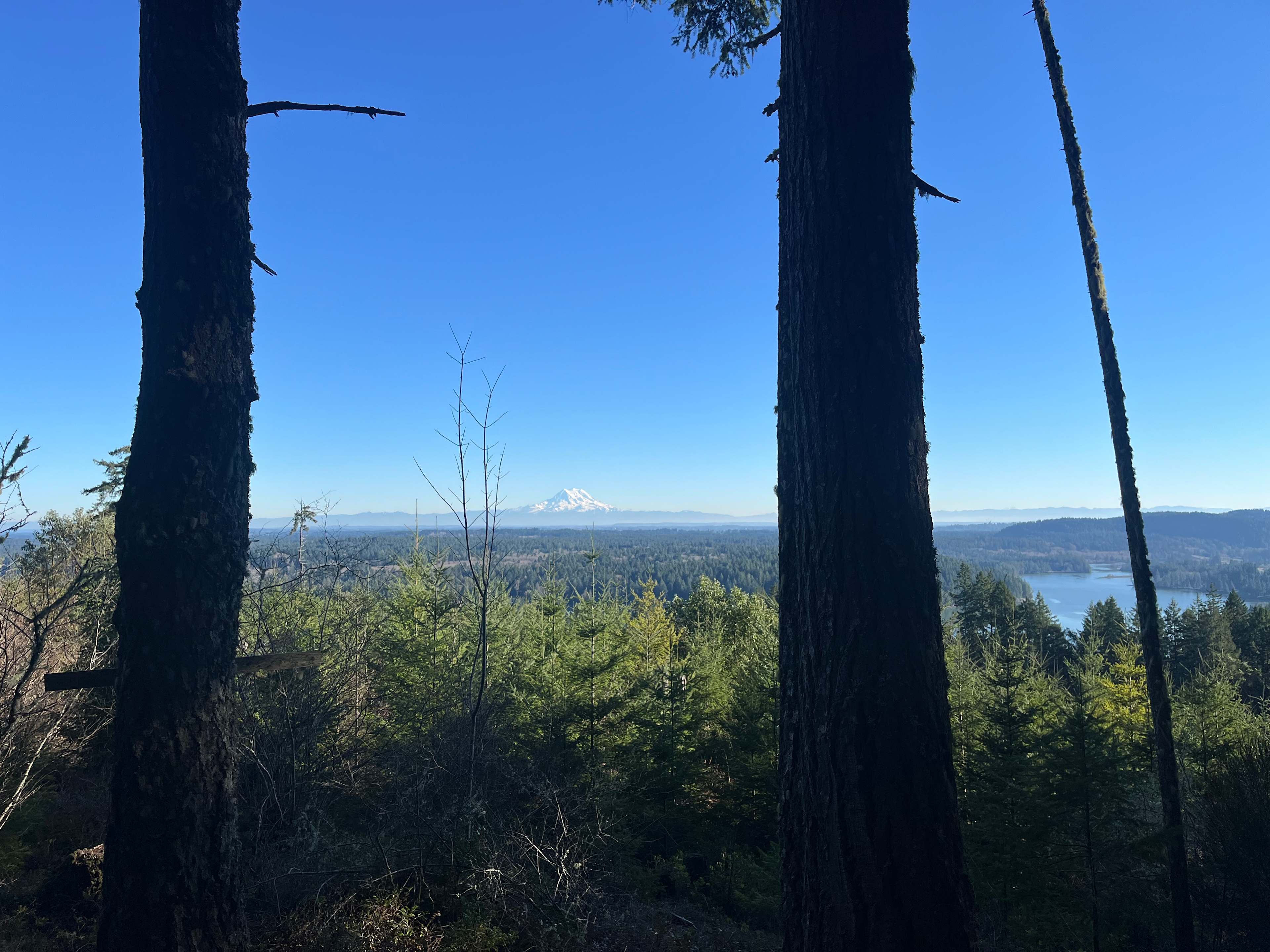 Hairy Eagle Lookout 🦅