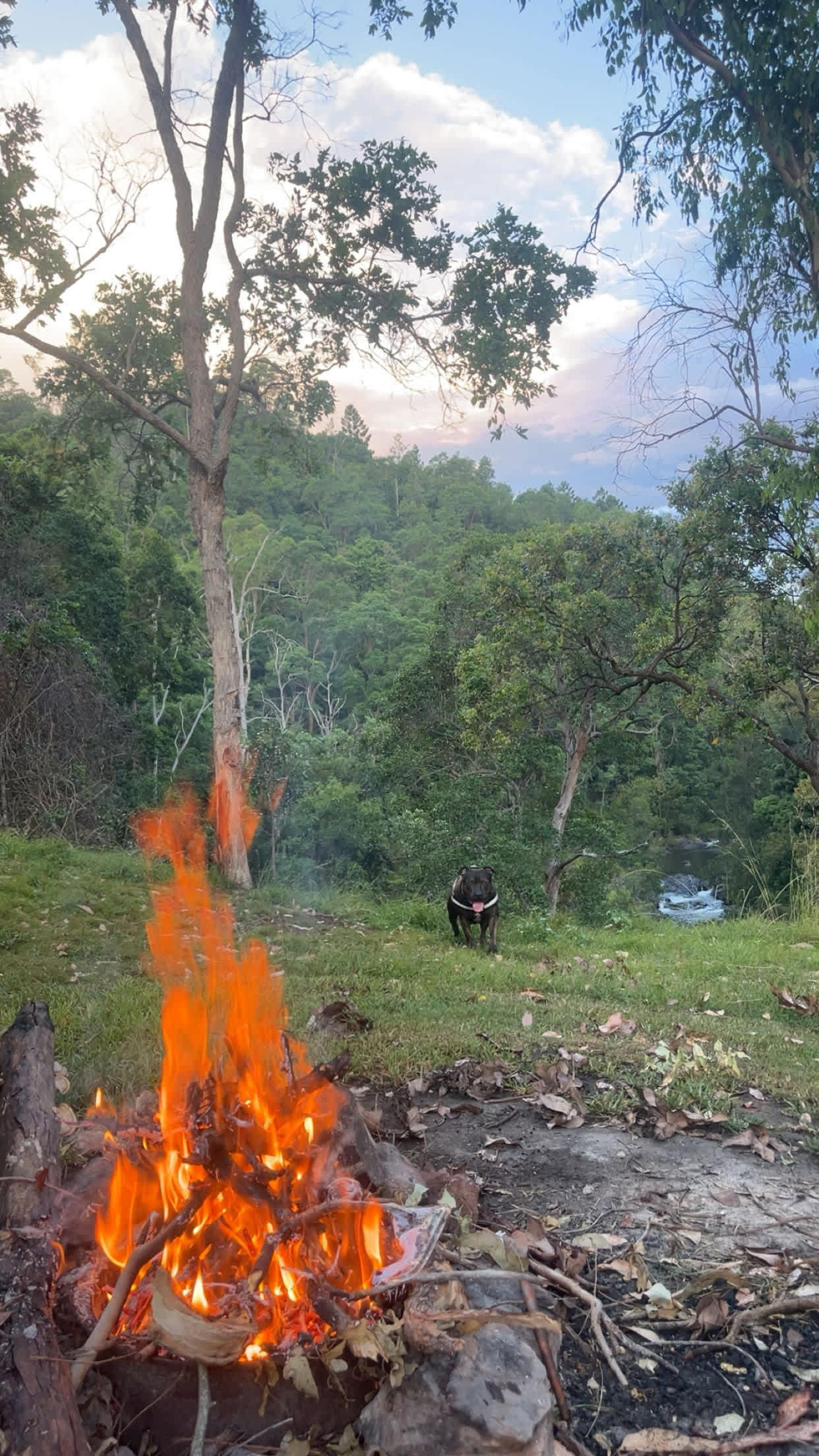 Andrew Drynan Park-Camp with a view