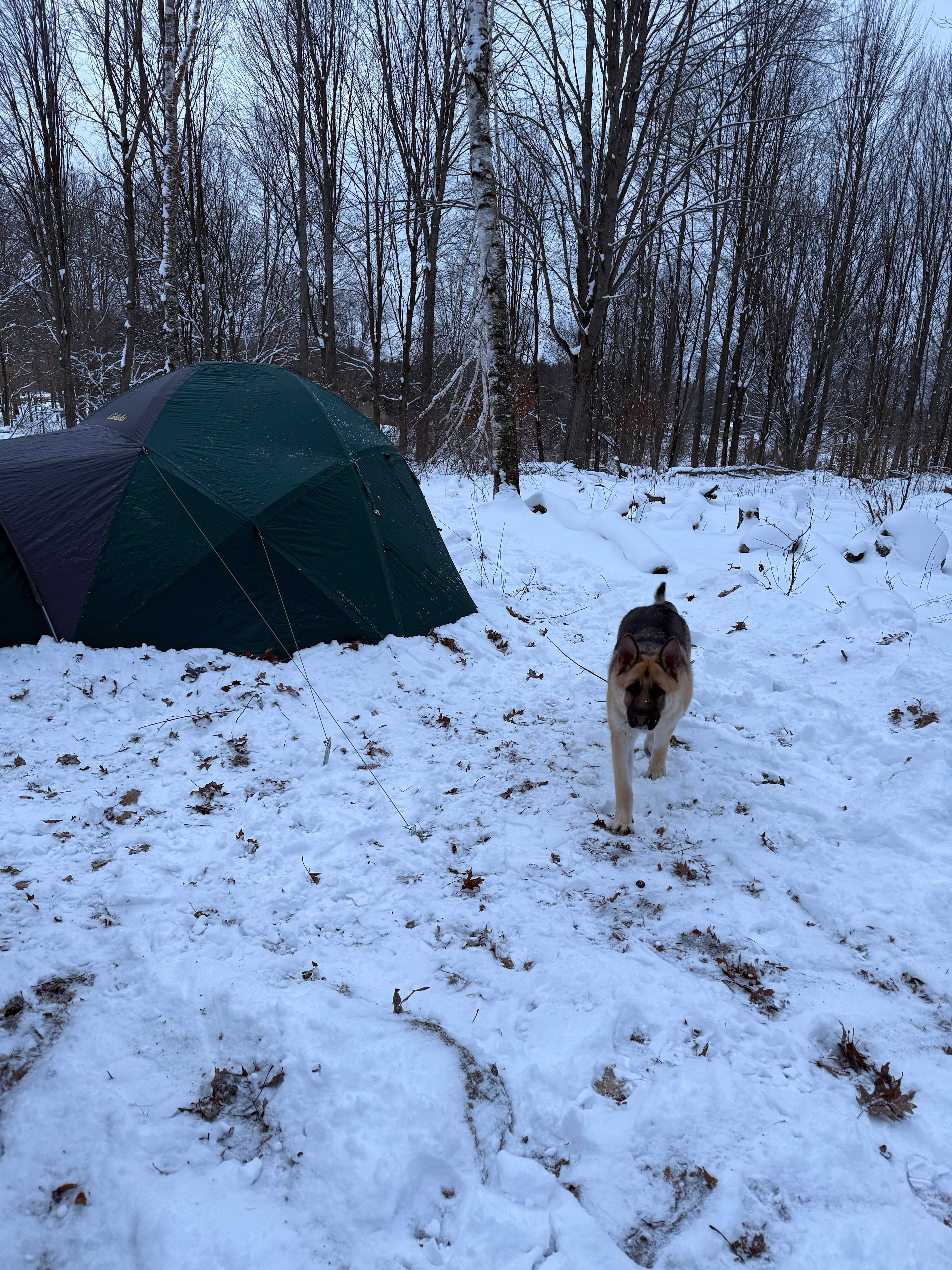 Provision Family Farms