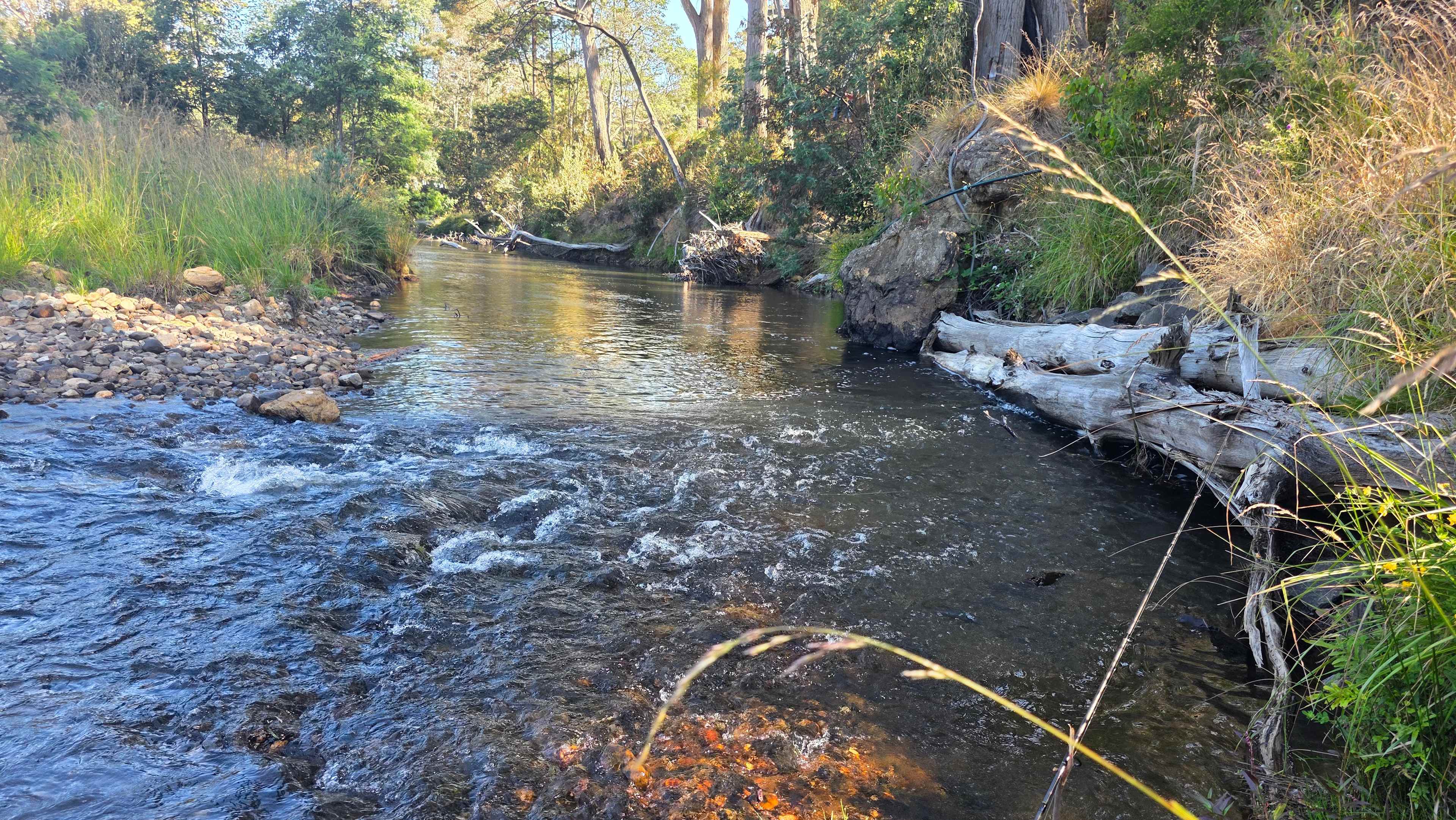 Beautiful little rapids, so peaceful.
