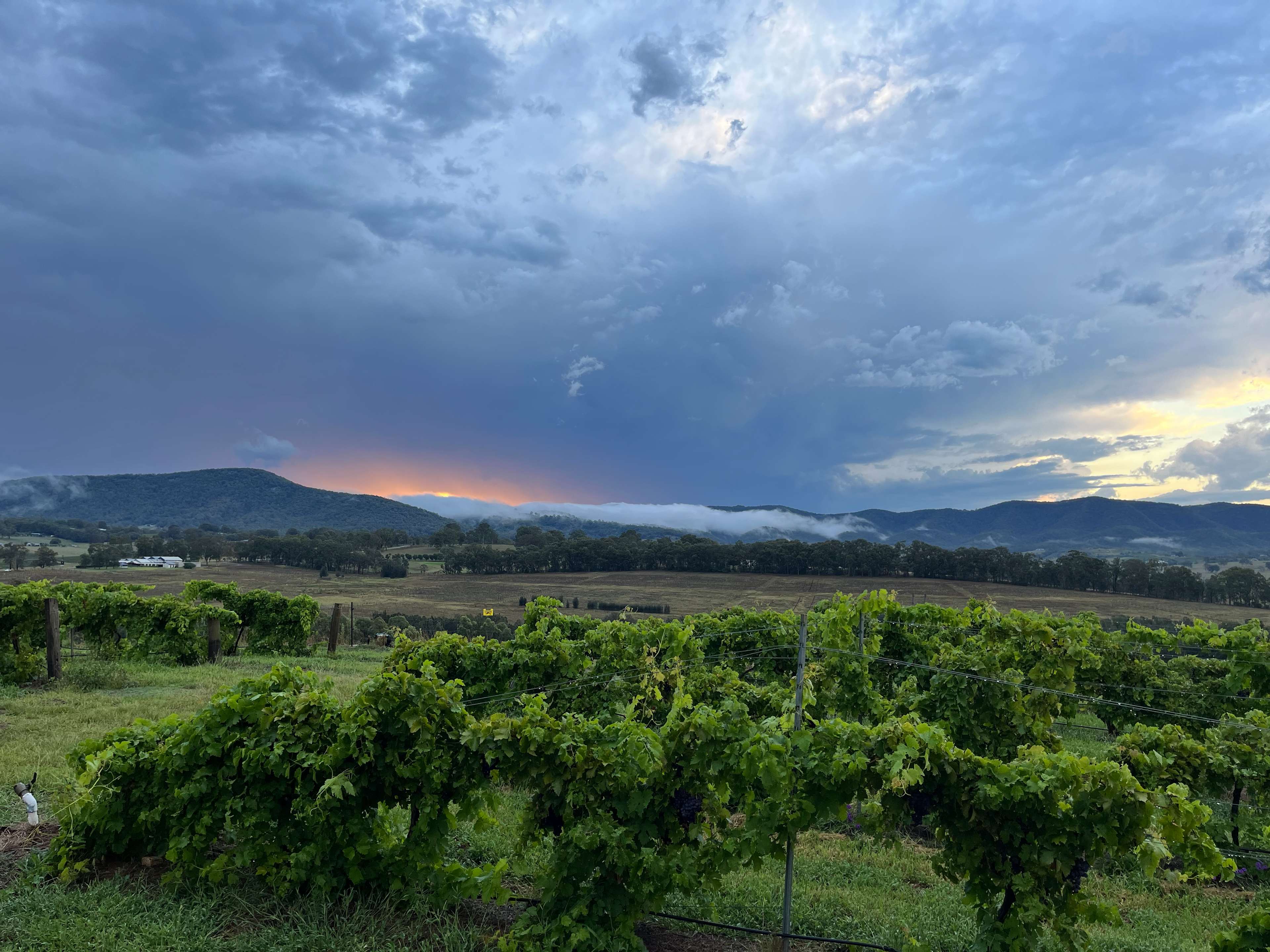 After a storm rolled through