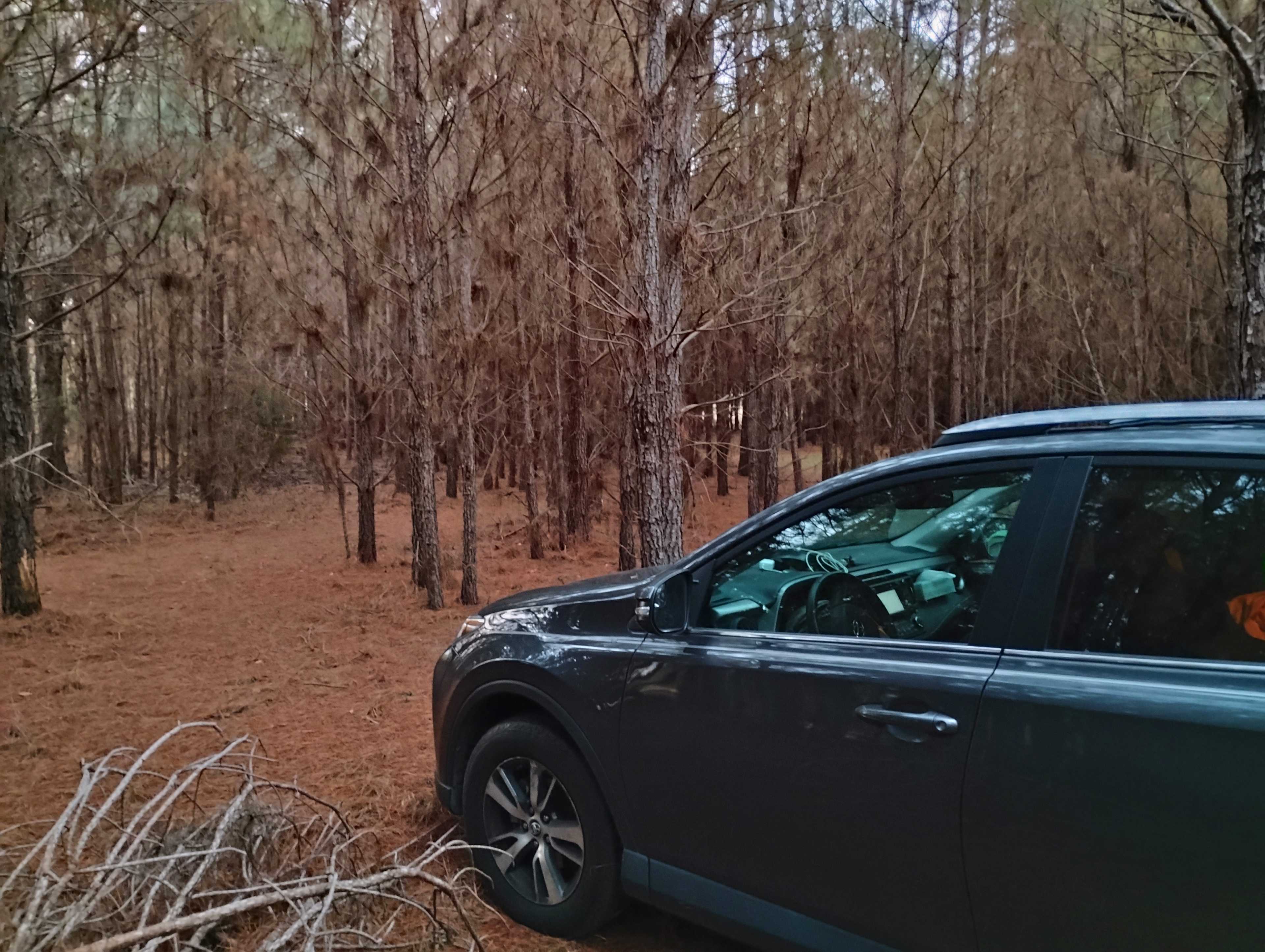 Rustic Natural Campsite