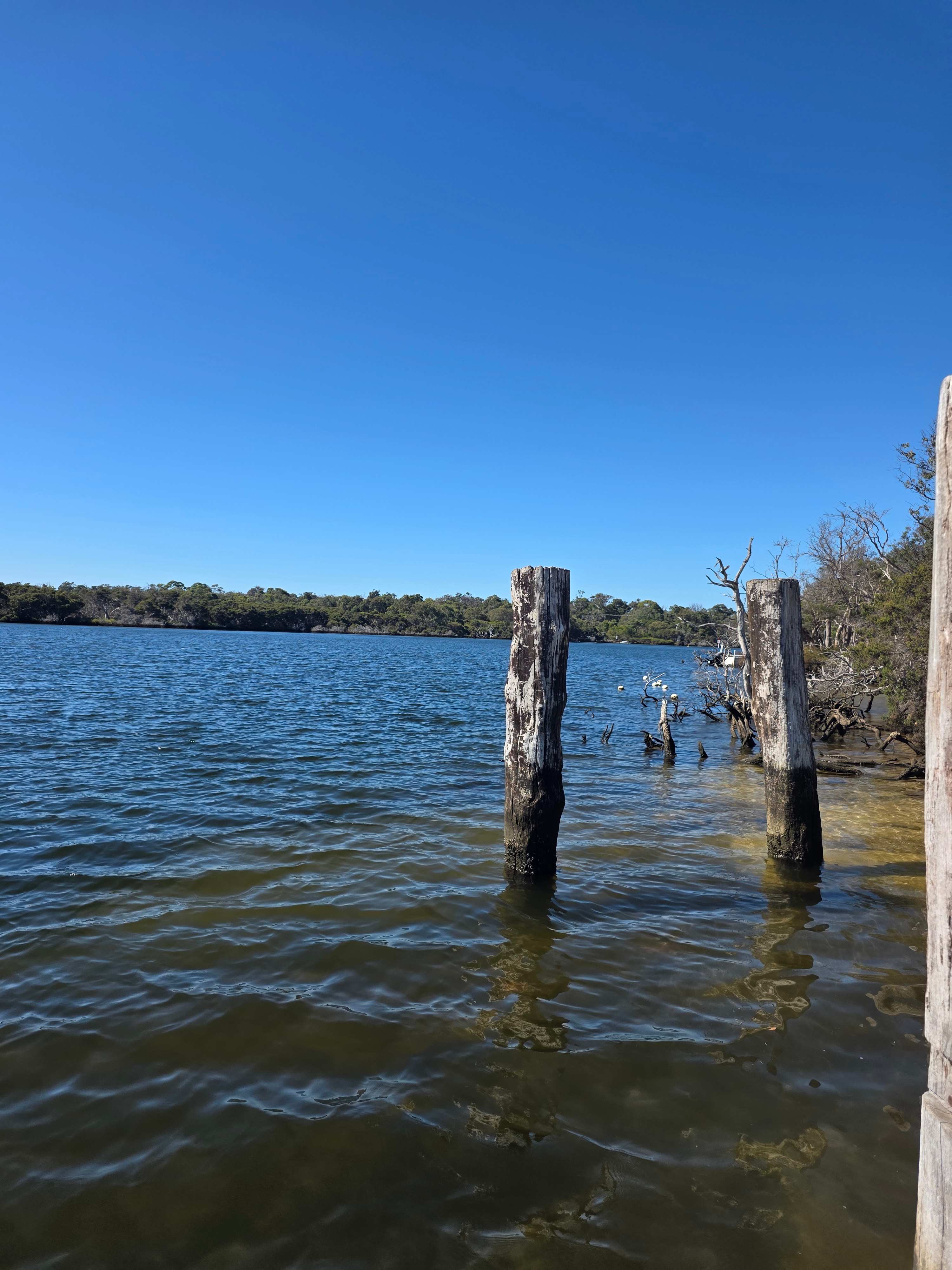Molloy Holiday Park - Nature Awaits