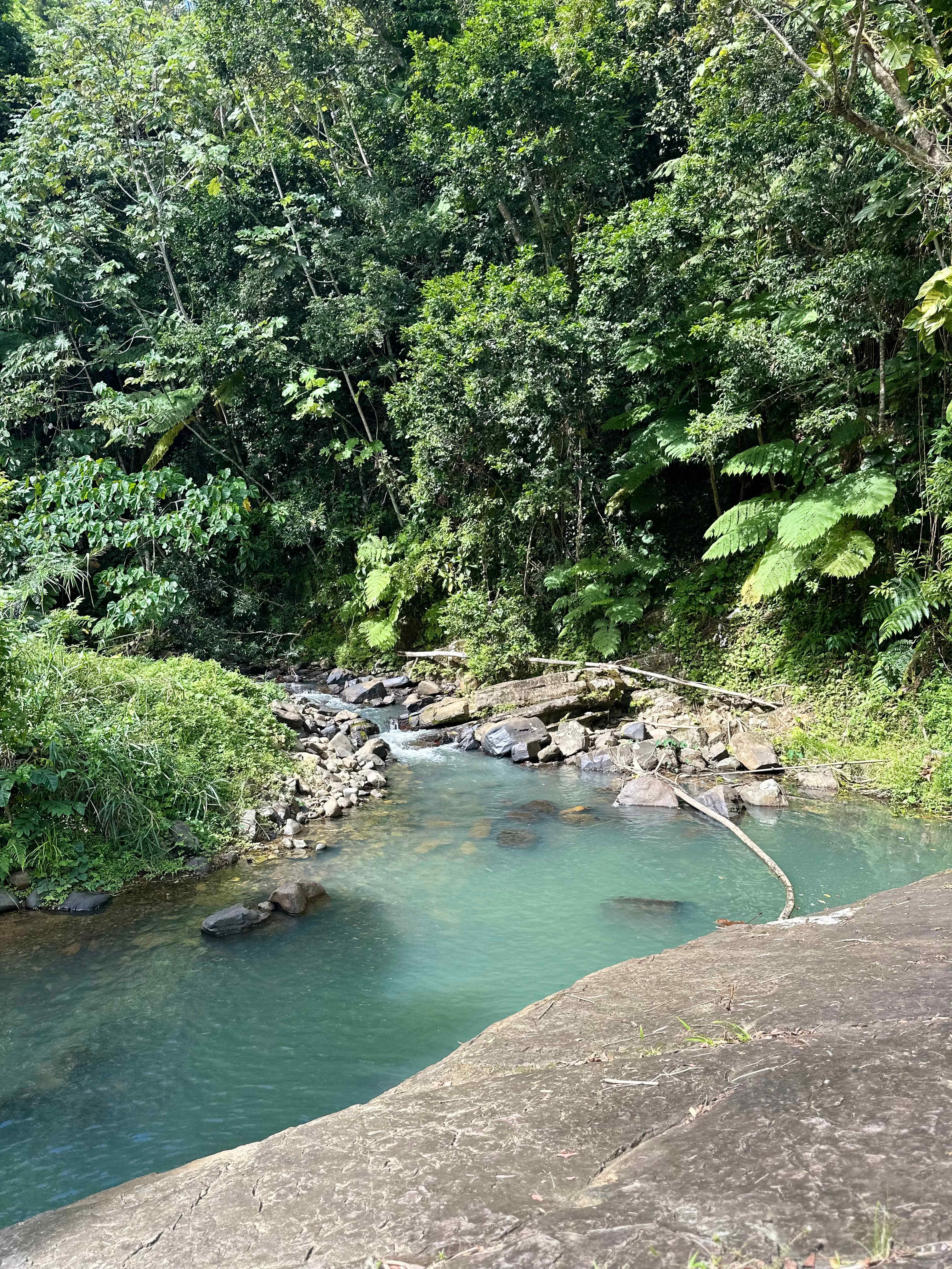Hacienda Monte Rey near El Yunque
