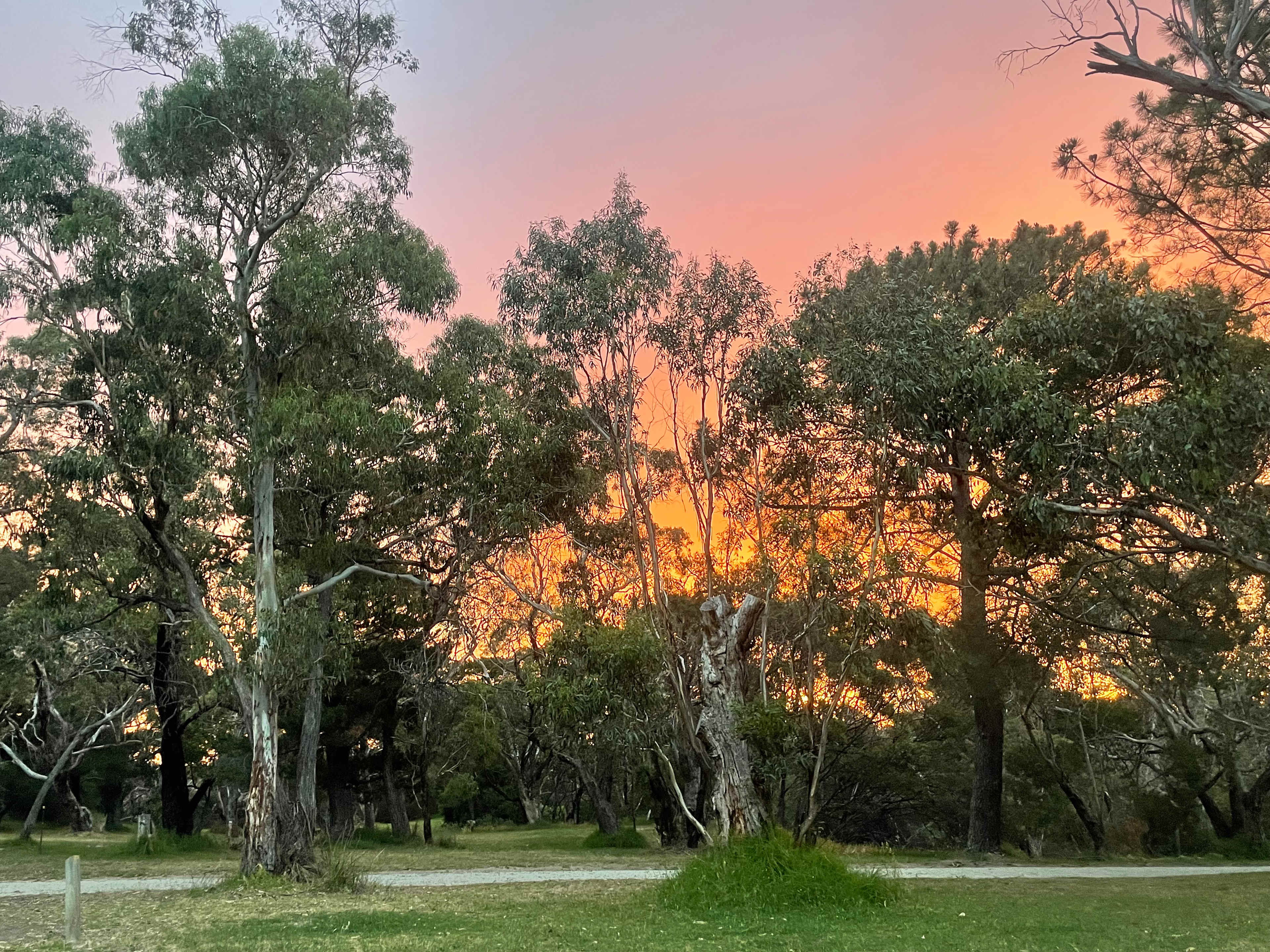 Bay Park Adventure Centre