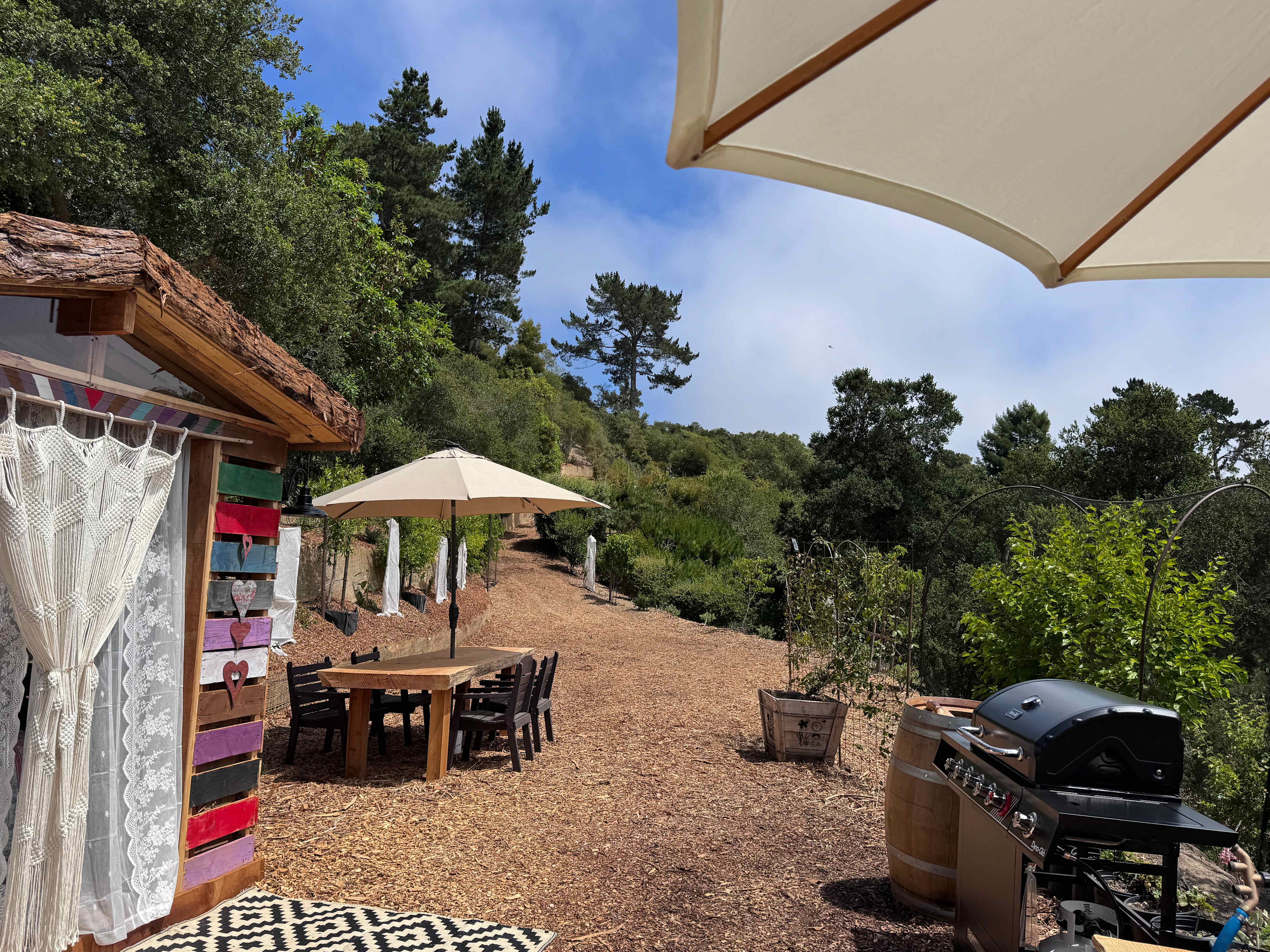 The Secret Gardens by the Bay