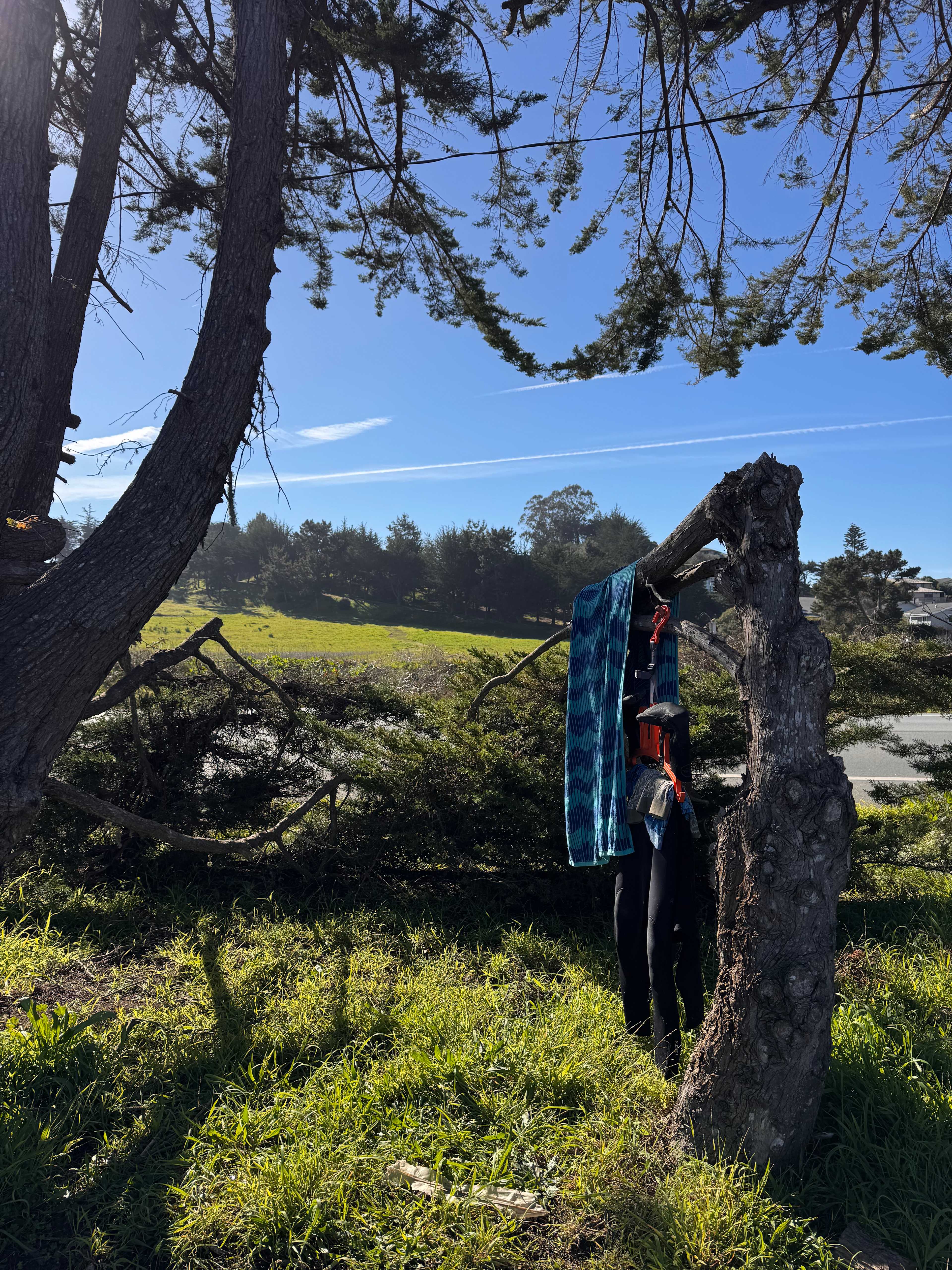 Strawberry Fields+Walk to the Beach
