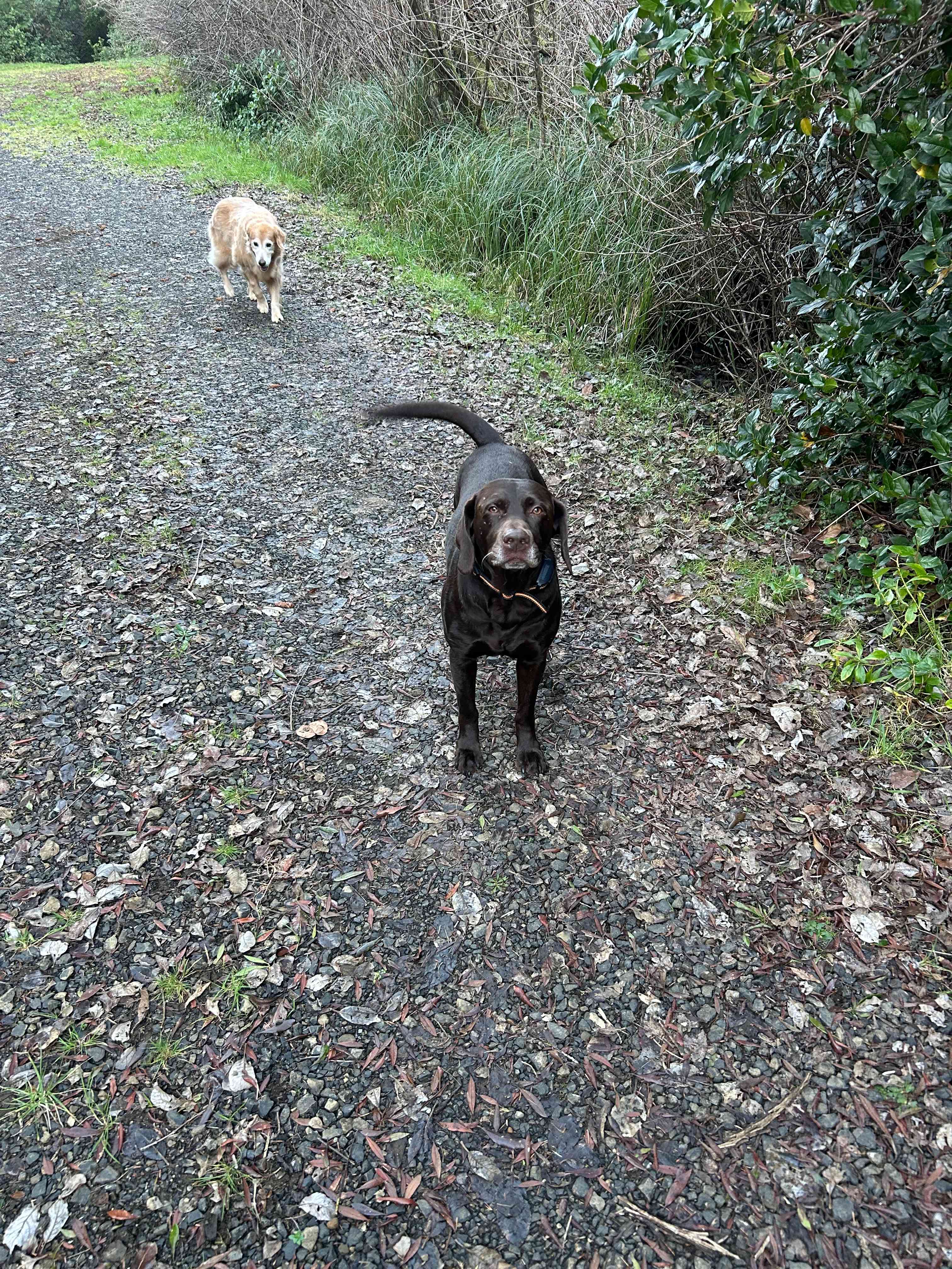 Coastal Family Hideaway