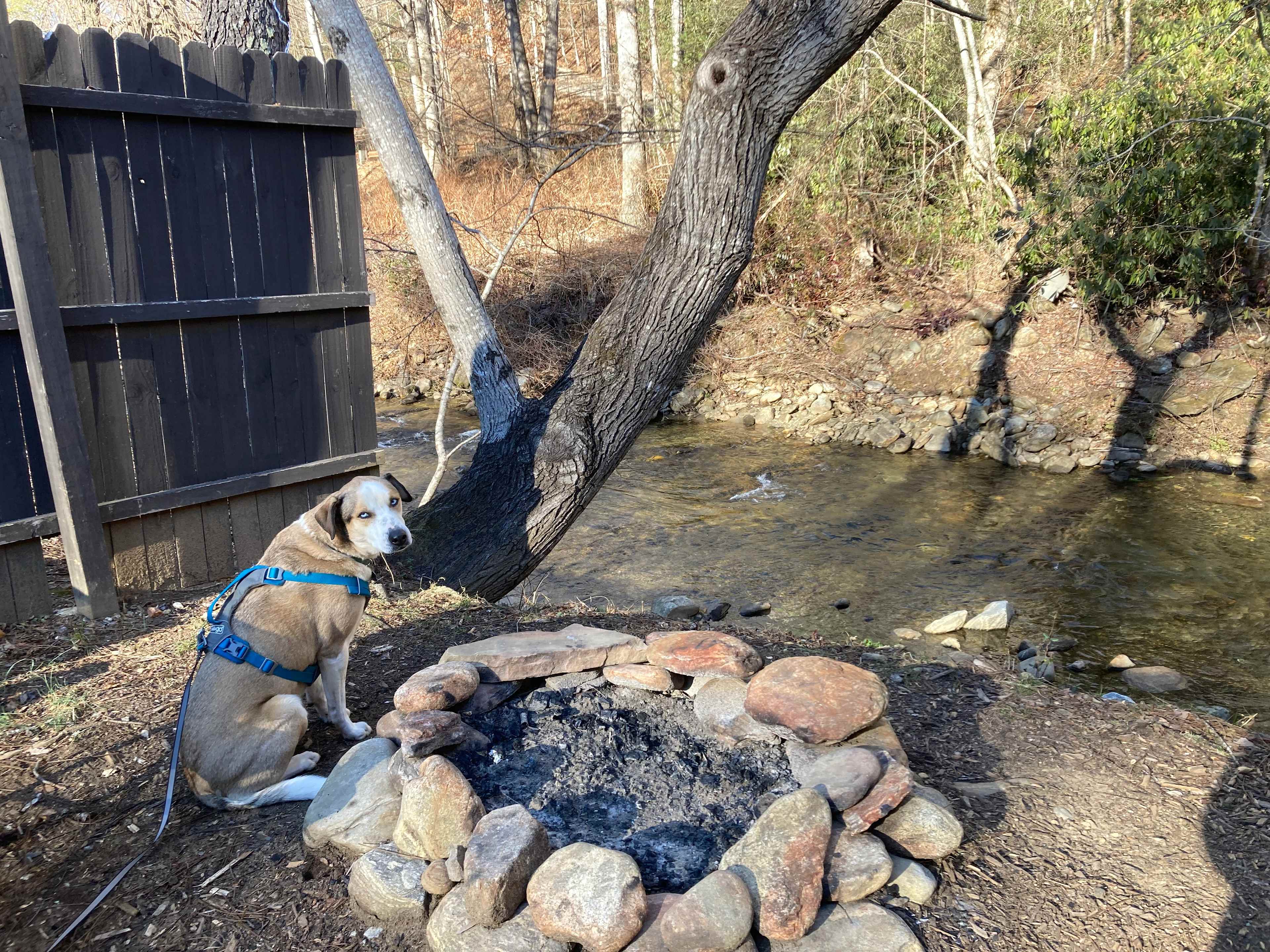 At the Ridge Camp-Riverside Escapes