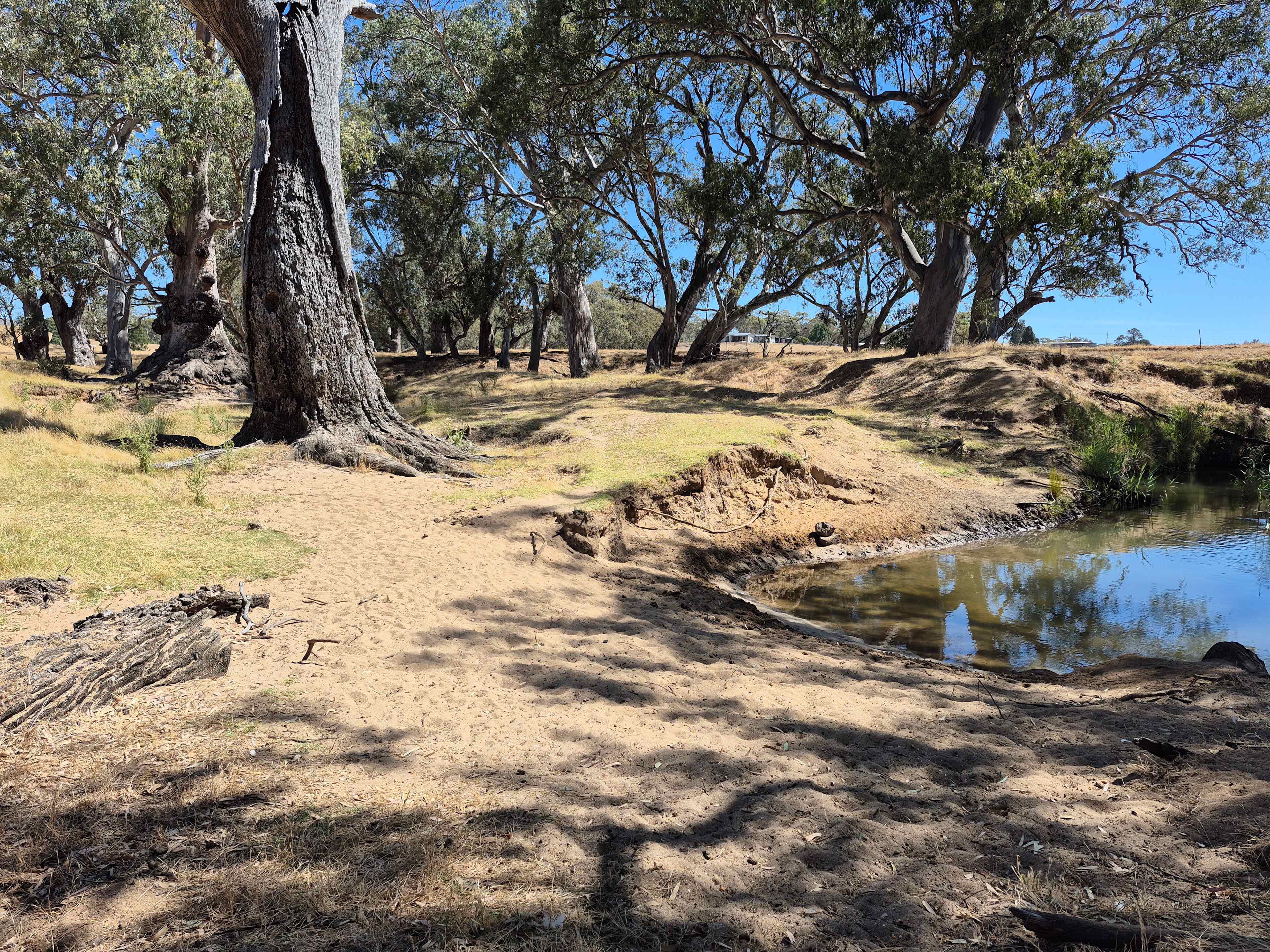 Shady spot to relax and cool the feet at the door step of camp.