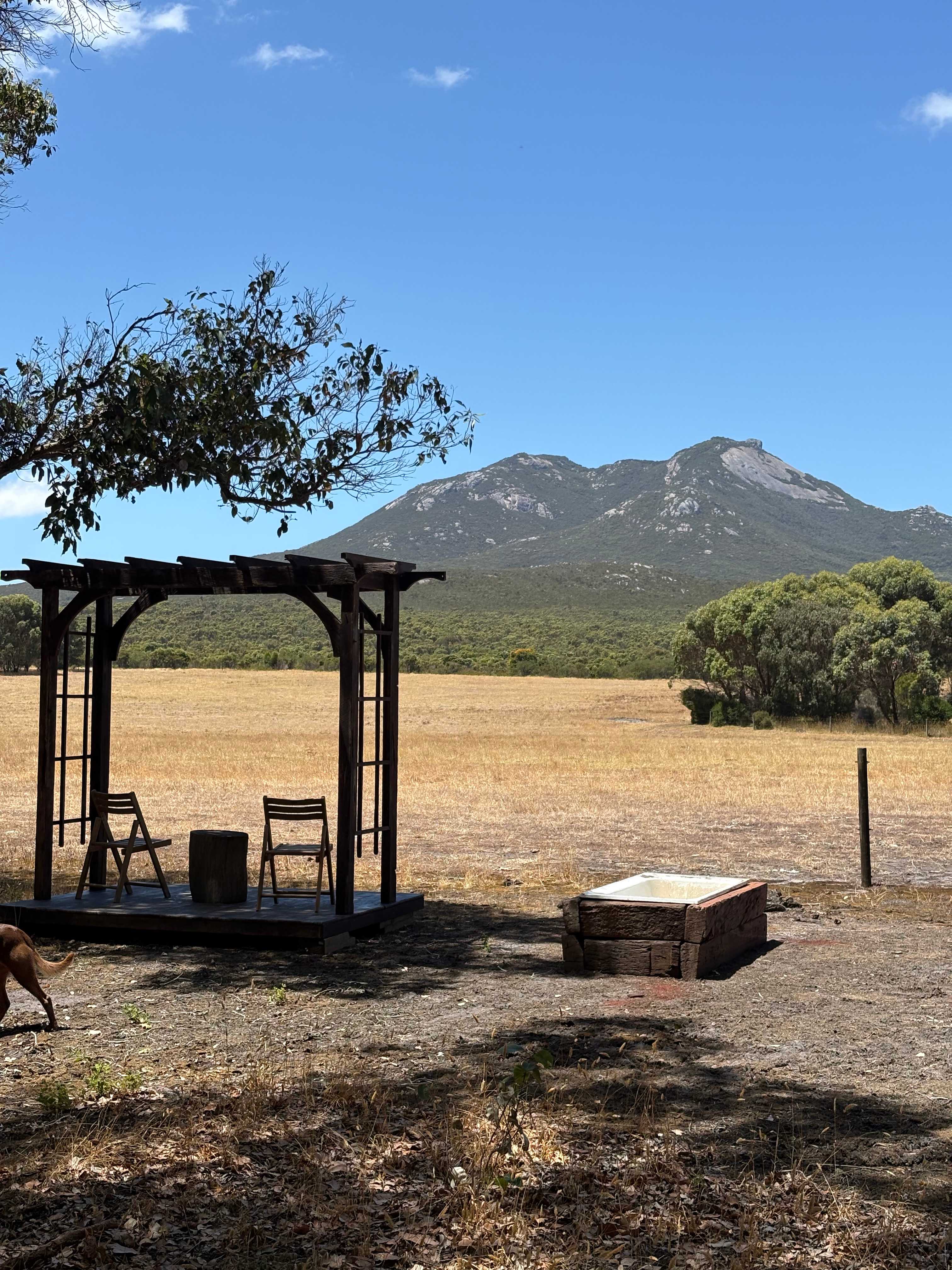 Picture of the site