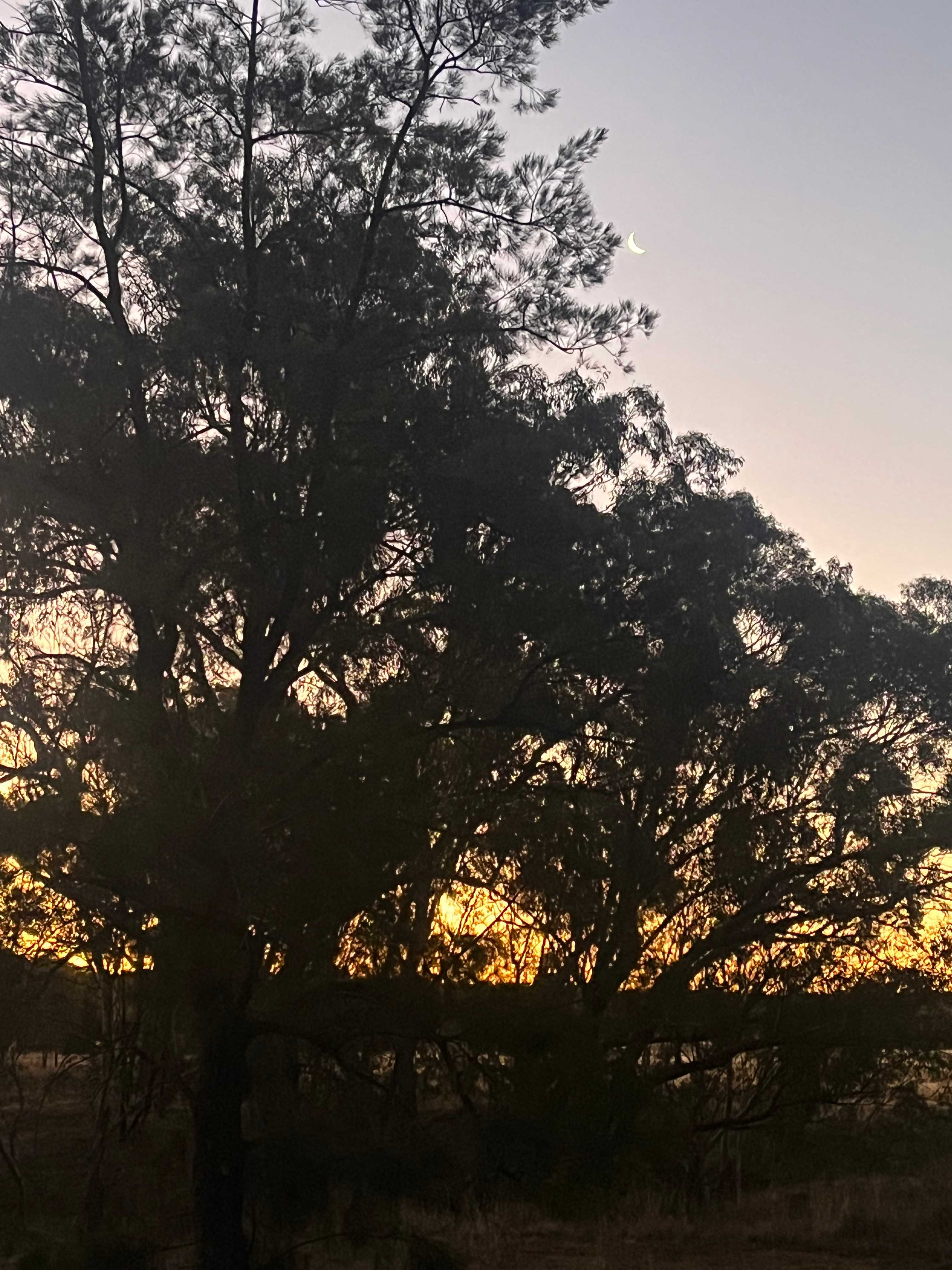 Cadagi Farm Stay in Central West NSW