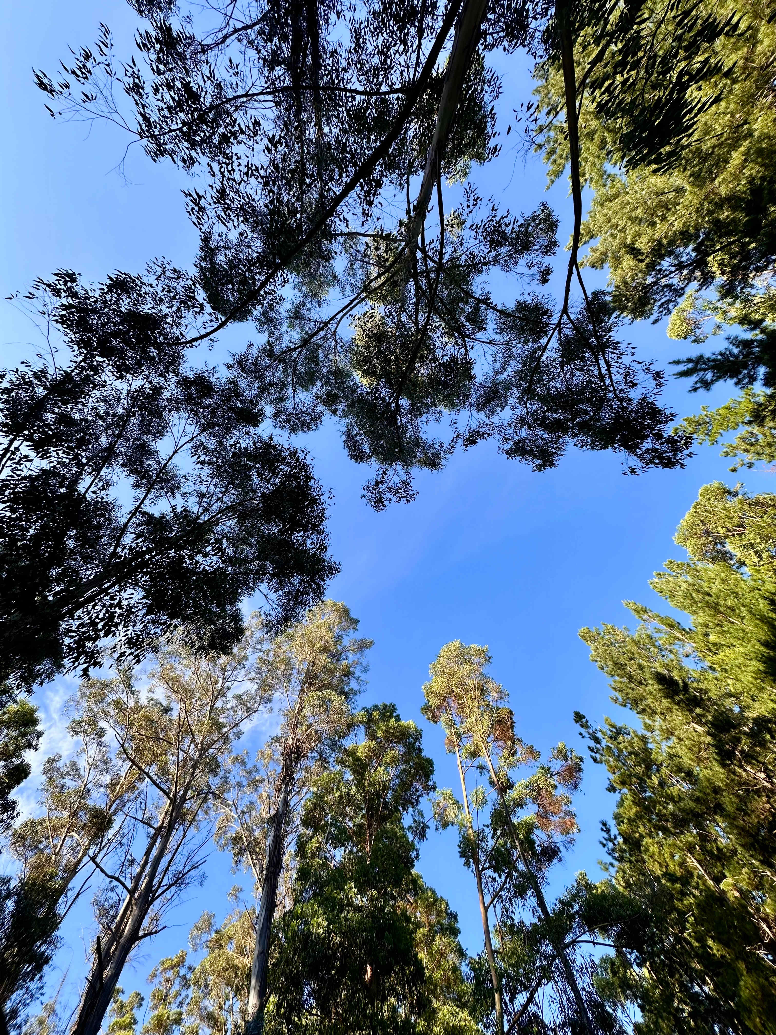 Lewana Cottages Campsites