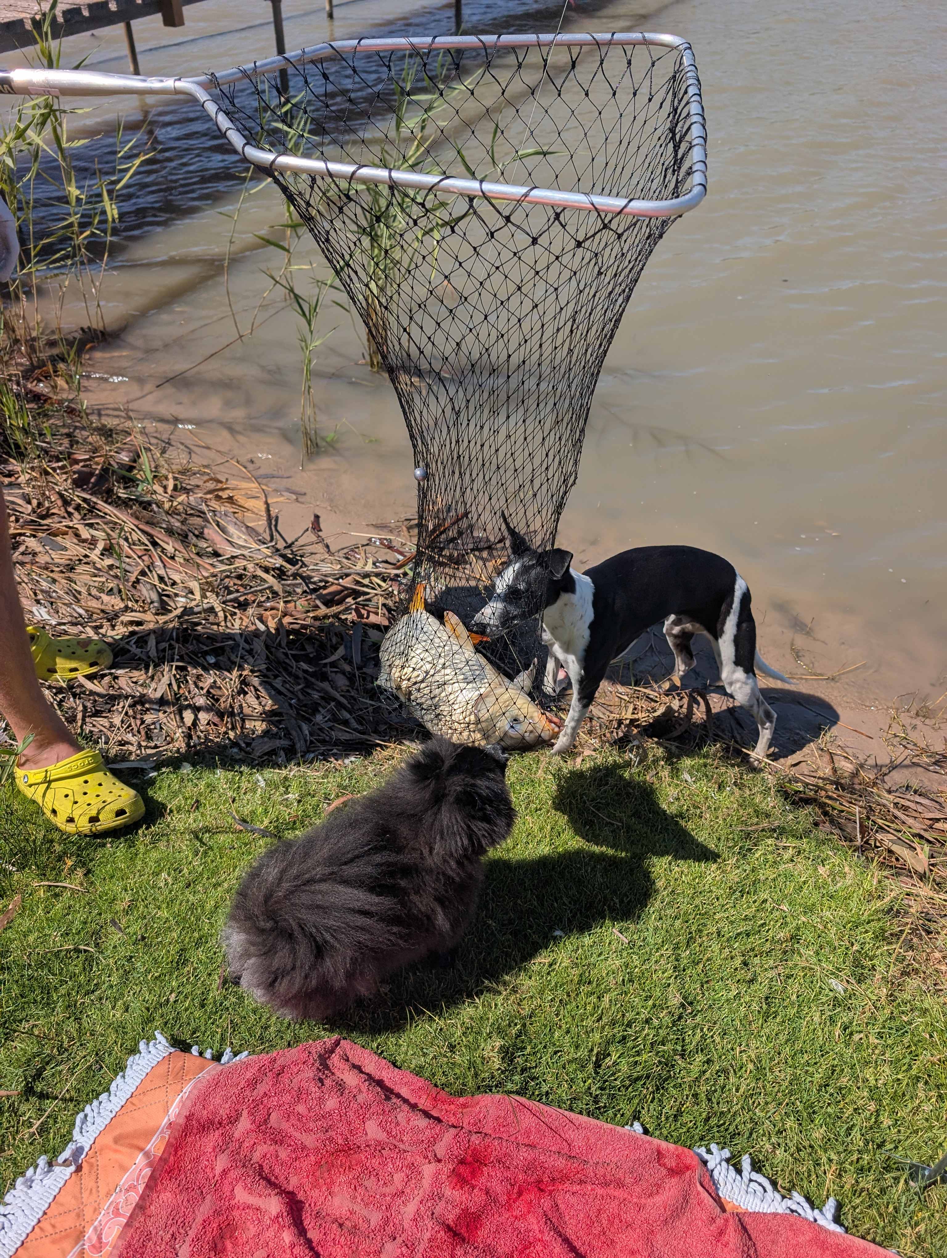 Tipsy Hill Located at Walker Flat