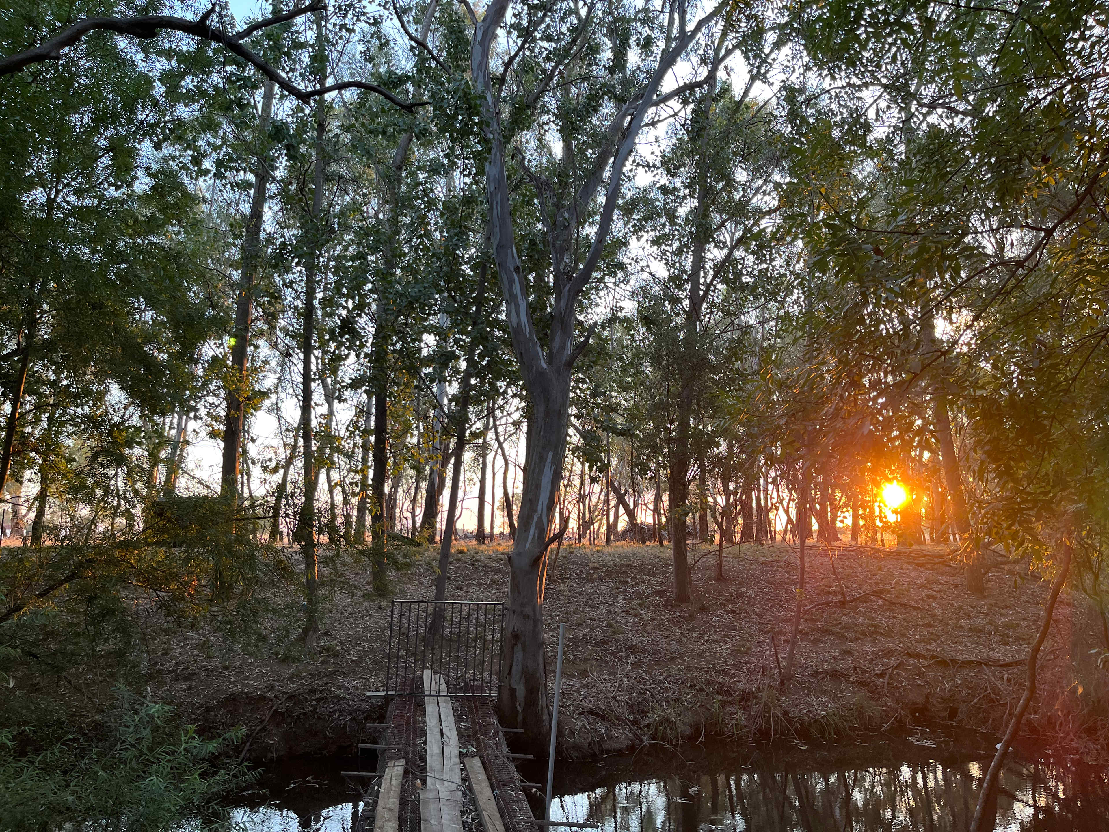 Hidden Beauty on Broken Creek