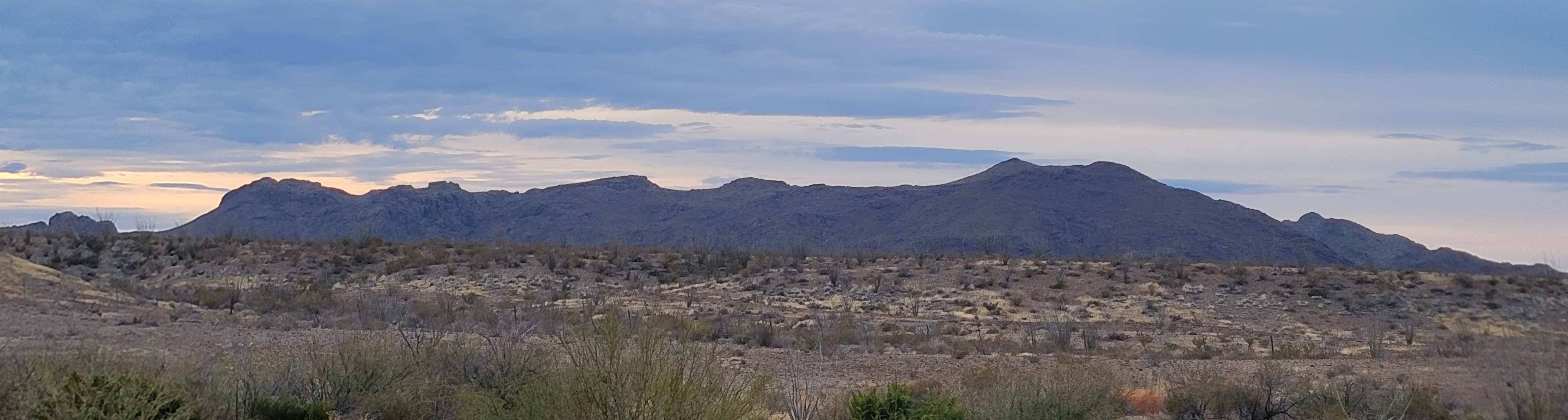 The Chisos Mountains from Willow Creek.
