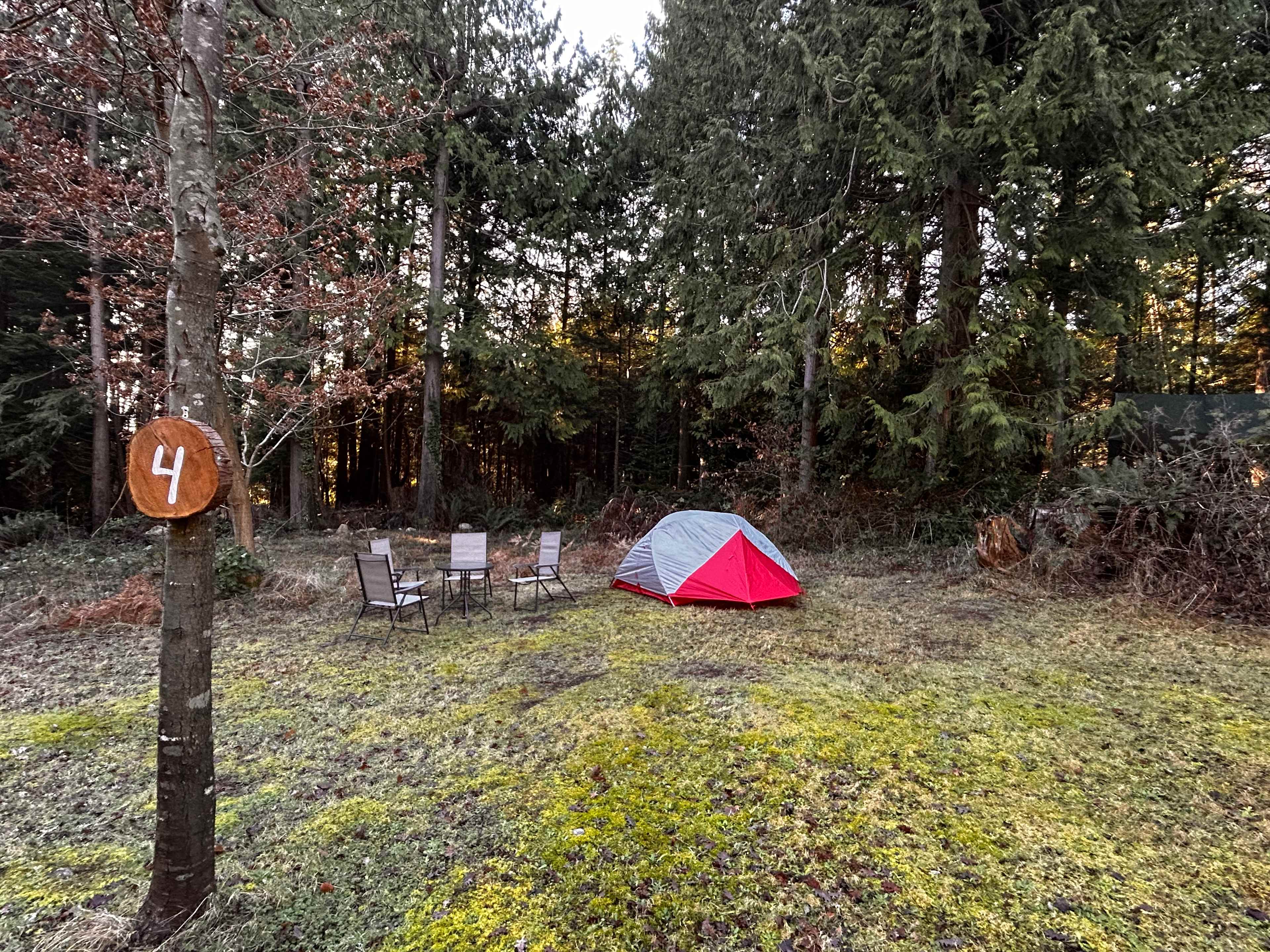 Coastal Orchard Farm Stay