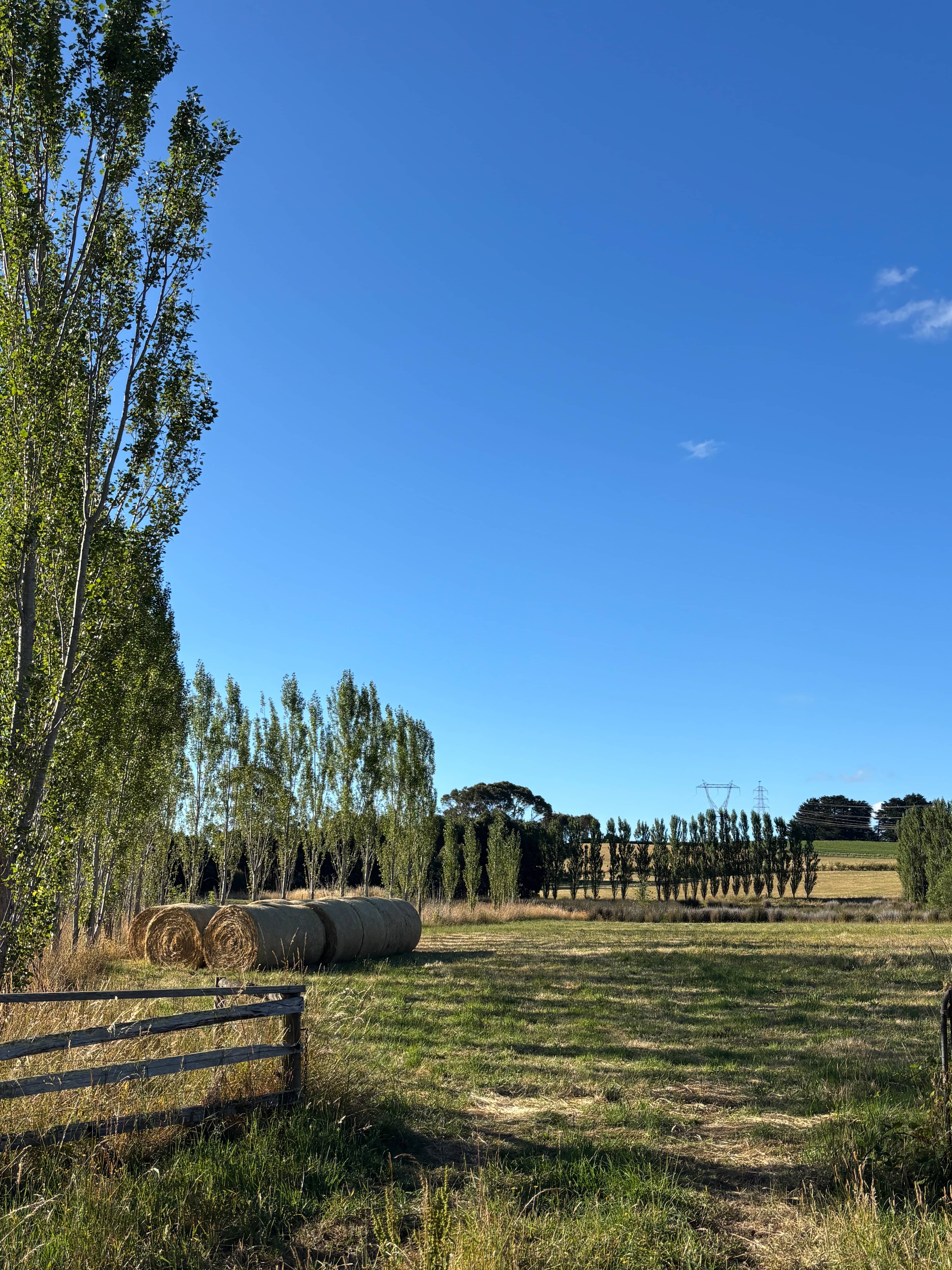 Marleen Herbs of Tasmania