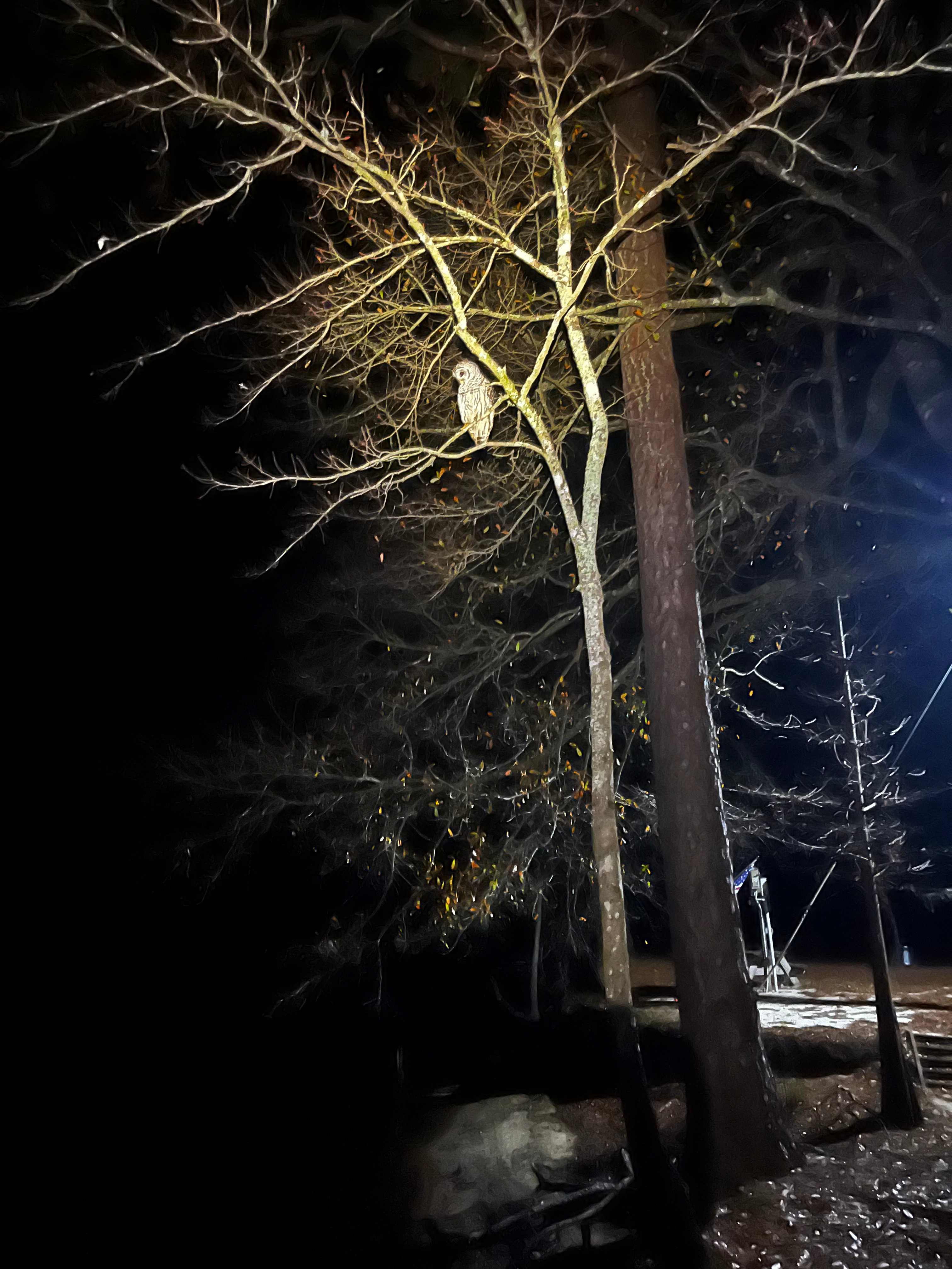 Black River Camping Ventures