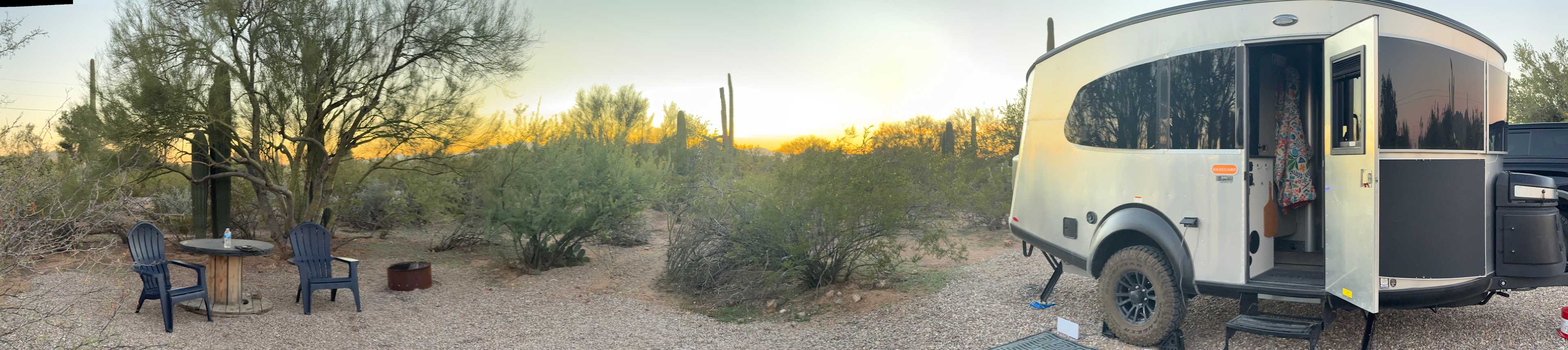 Curious Quail site 5/5